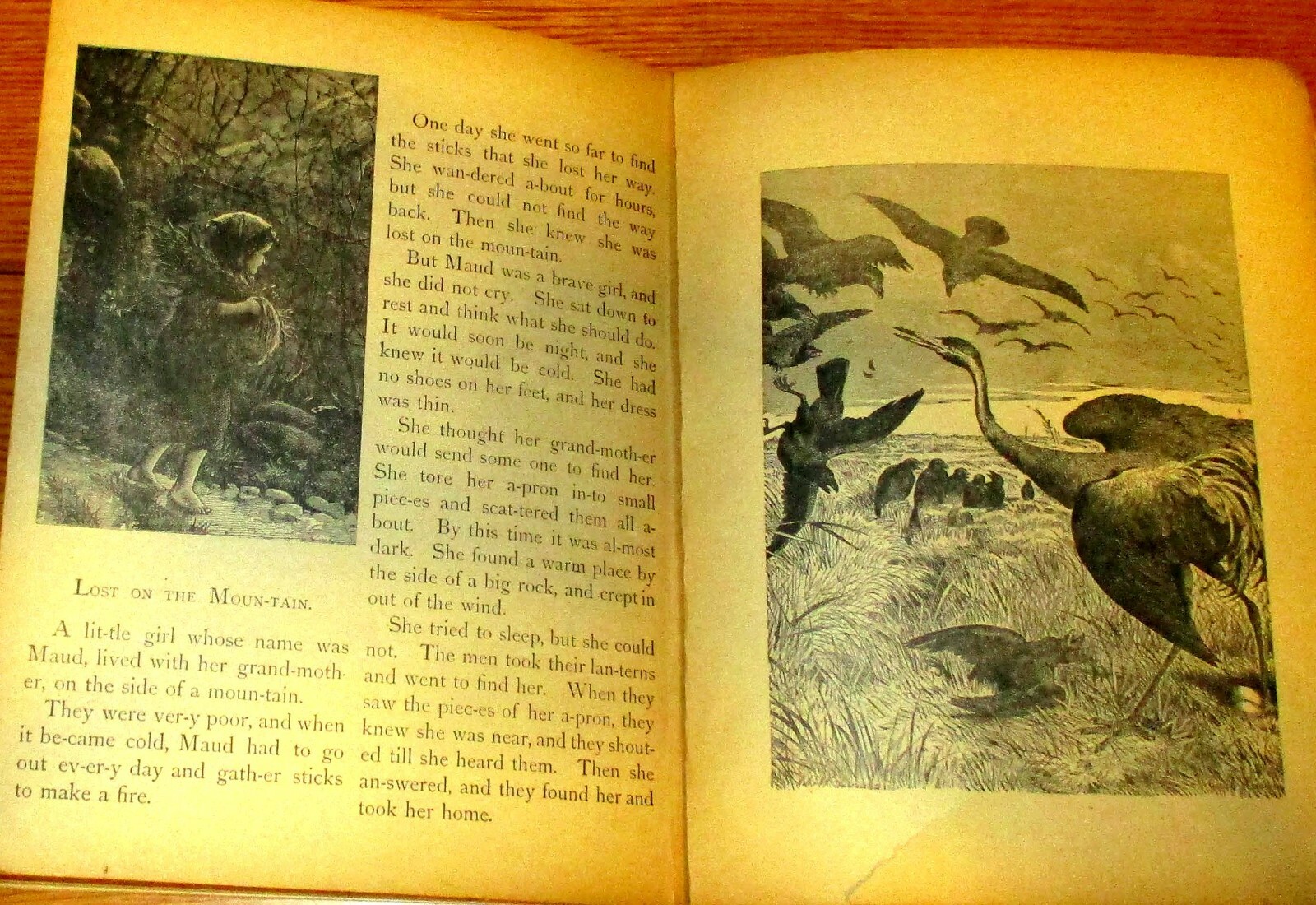 Pet’s Picture Book With Pretty Stories 1897 Little Tots Series H/C 34 pages
