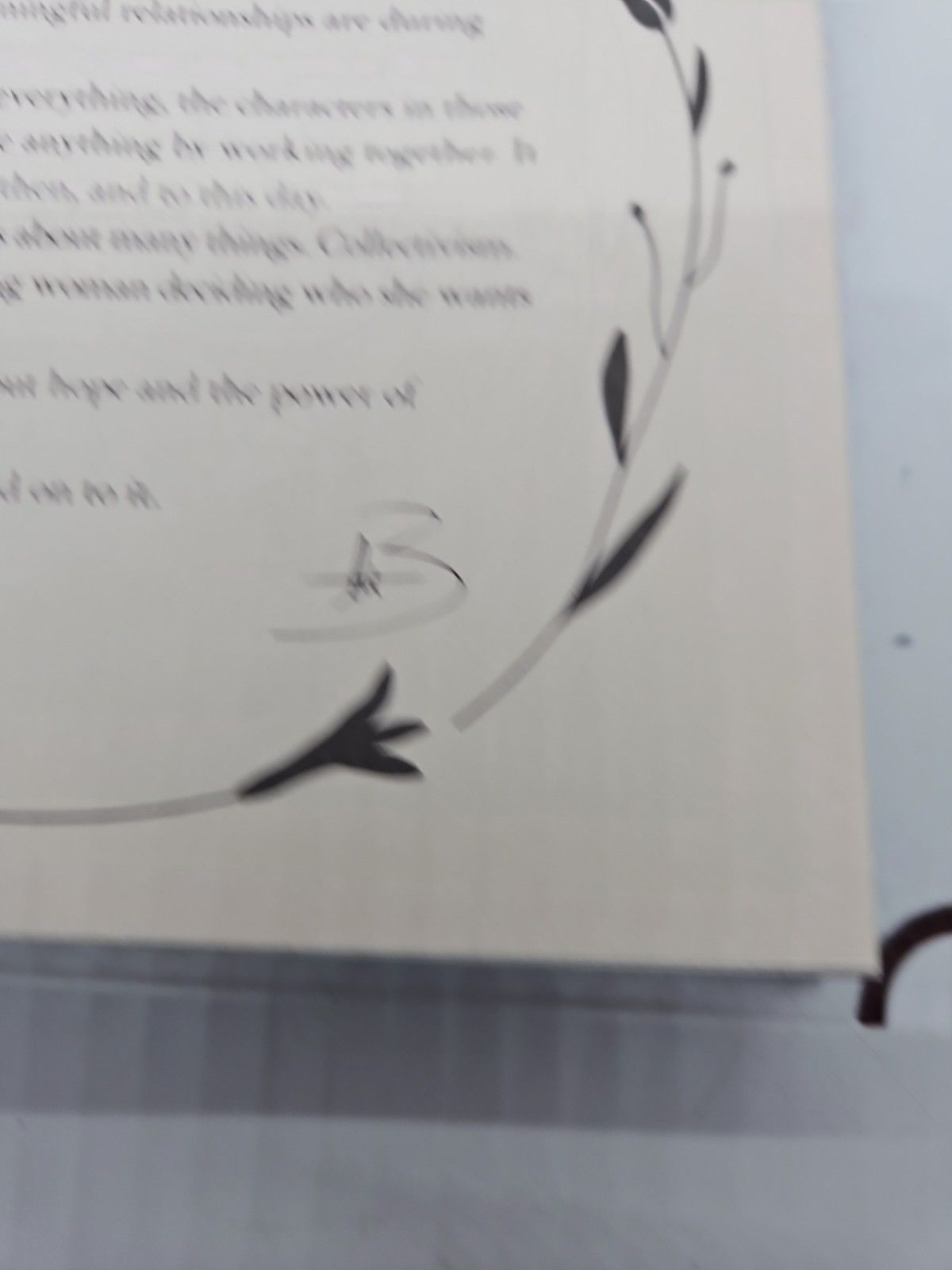To Cage A Wild Bird Brooke Fast Signed Fairy Loot Exclusive Edition 2025 HCDJ