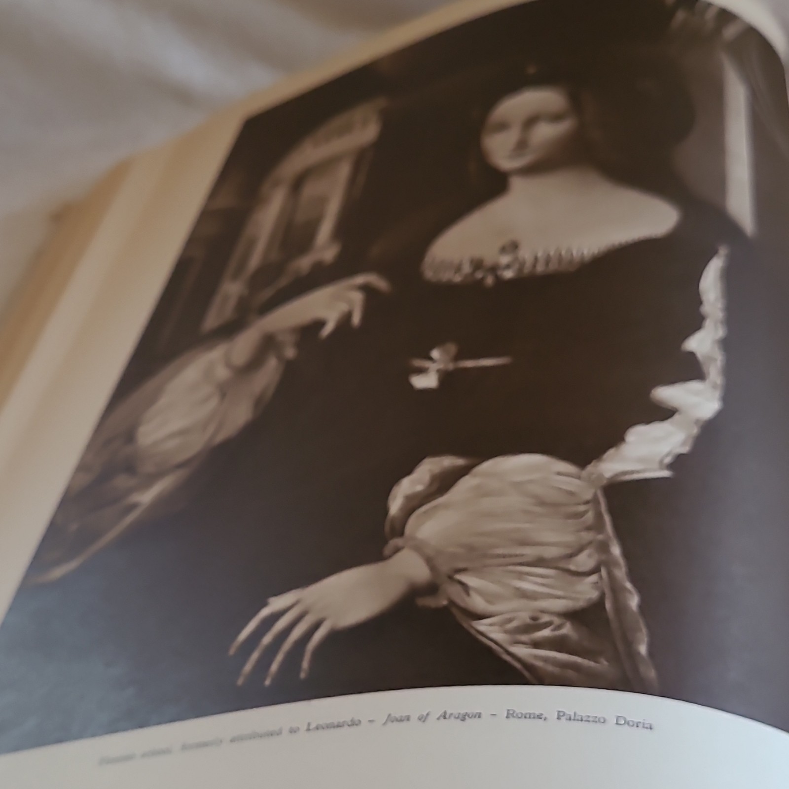 Leonardo Da Vinci Illustrated Hardcover Picture Book Reynal & Company 1956