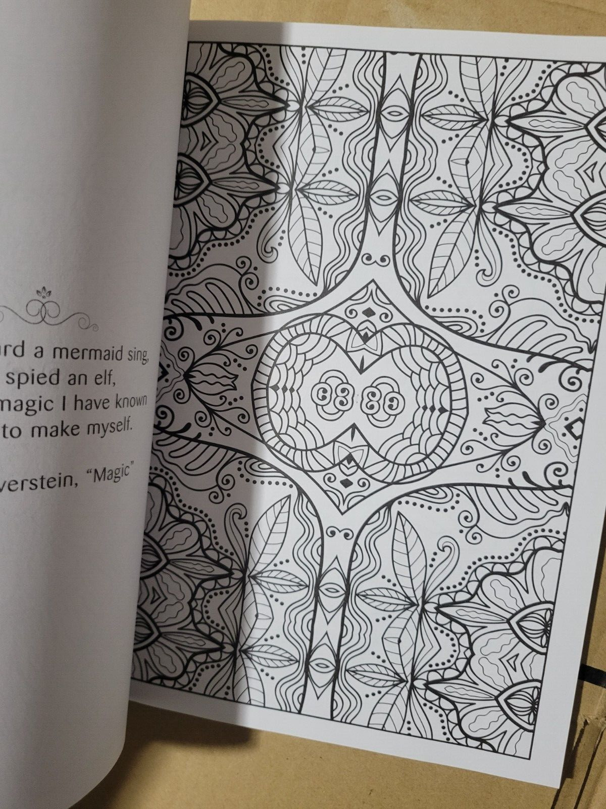 SPLASH OF COLOR – Vol. 27 – Creative Expressions Adult Coloring Book