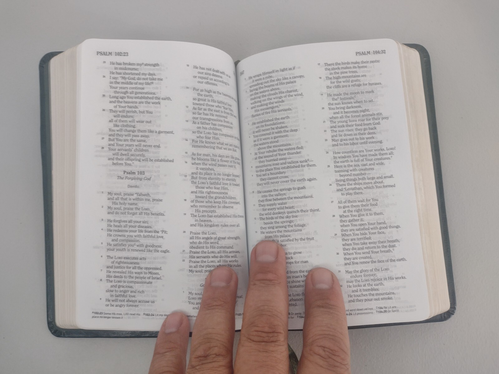 HCSB Soldier’s BIBLE 2012 Green Simulated Leather Holman