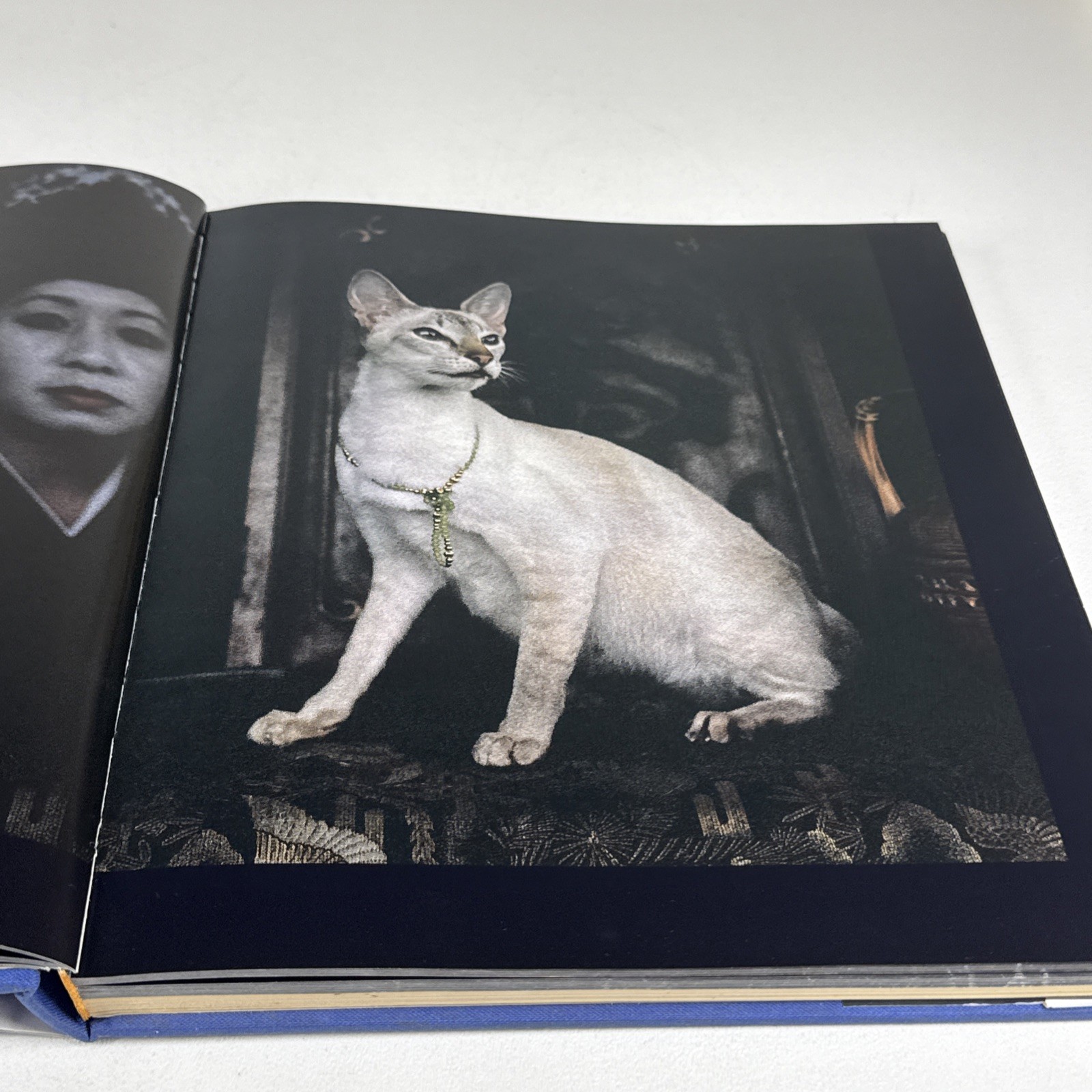 Vavras Cats Robert Vavra Photography Signed 1986 1st Ed Hardcover DJ