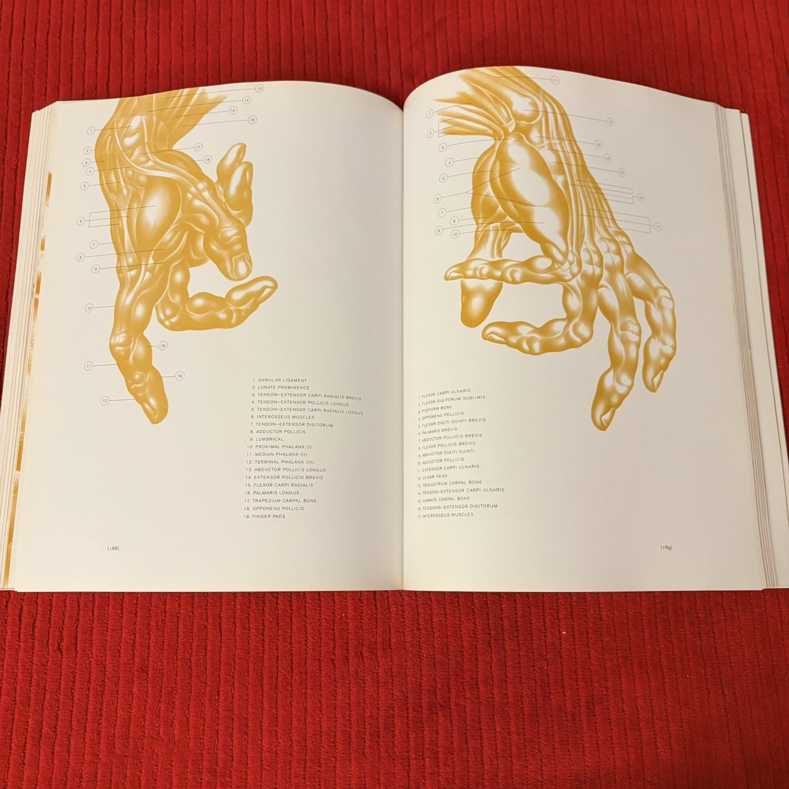 DYNAMIC ANATOMY: REVISED AND EXPANDED by Burne Hogarth—LIKE NEW