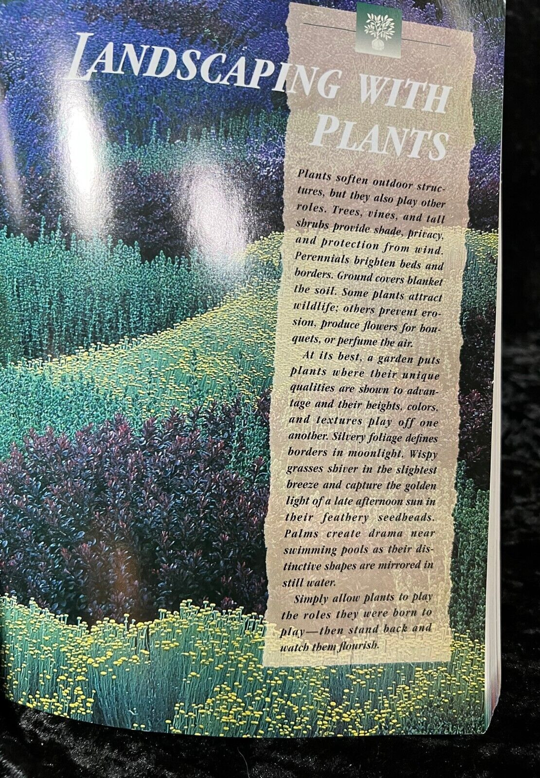 Sunset Western Landscaping 1997 First Edition Soft Cover 8.25″ x 10.75″ Book
