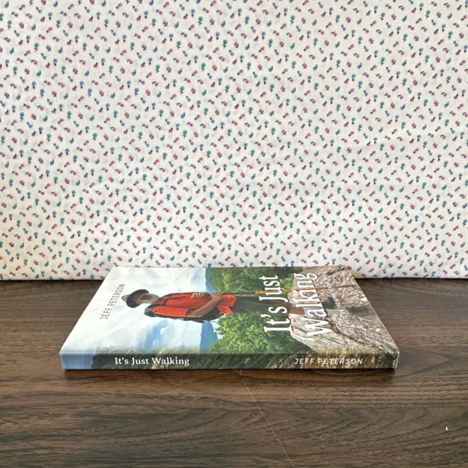 It’s Just Walking by Jeff Peterson, Paperback, Palmetto Publishing, Hiking