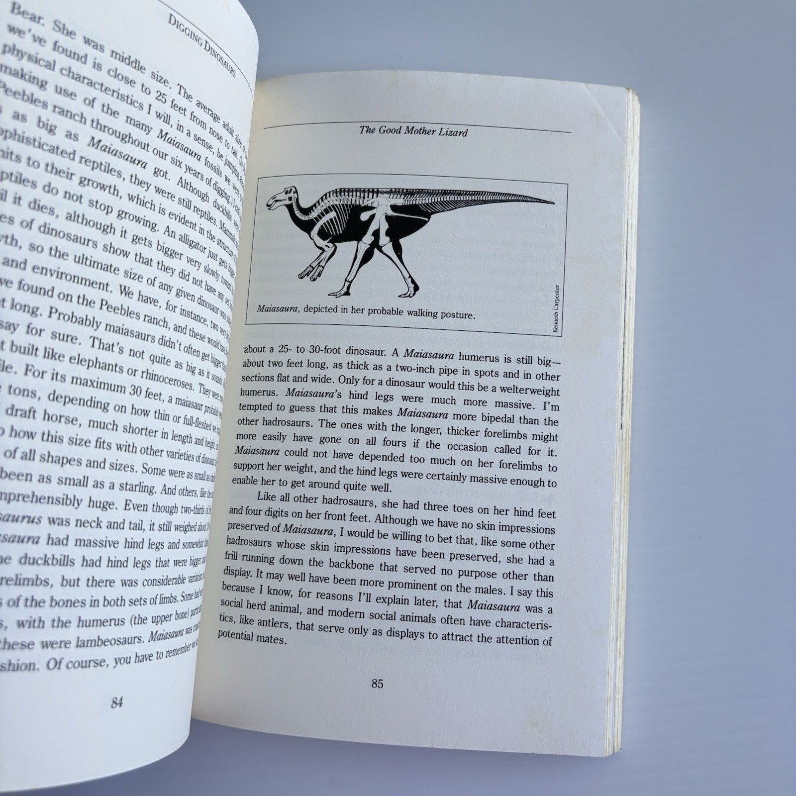 Digging Dinosaurs : The Search That Unraveled the Mystery of Baby Dinosaurs