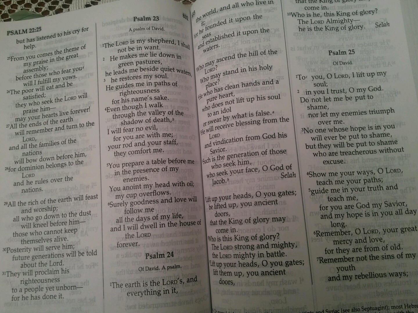84 NIV GIANT PRINT — NEW GIANT Print Bible 1984 New International Version LG