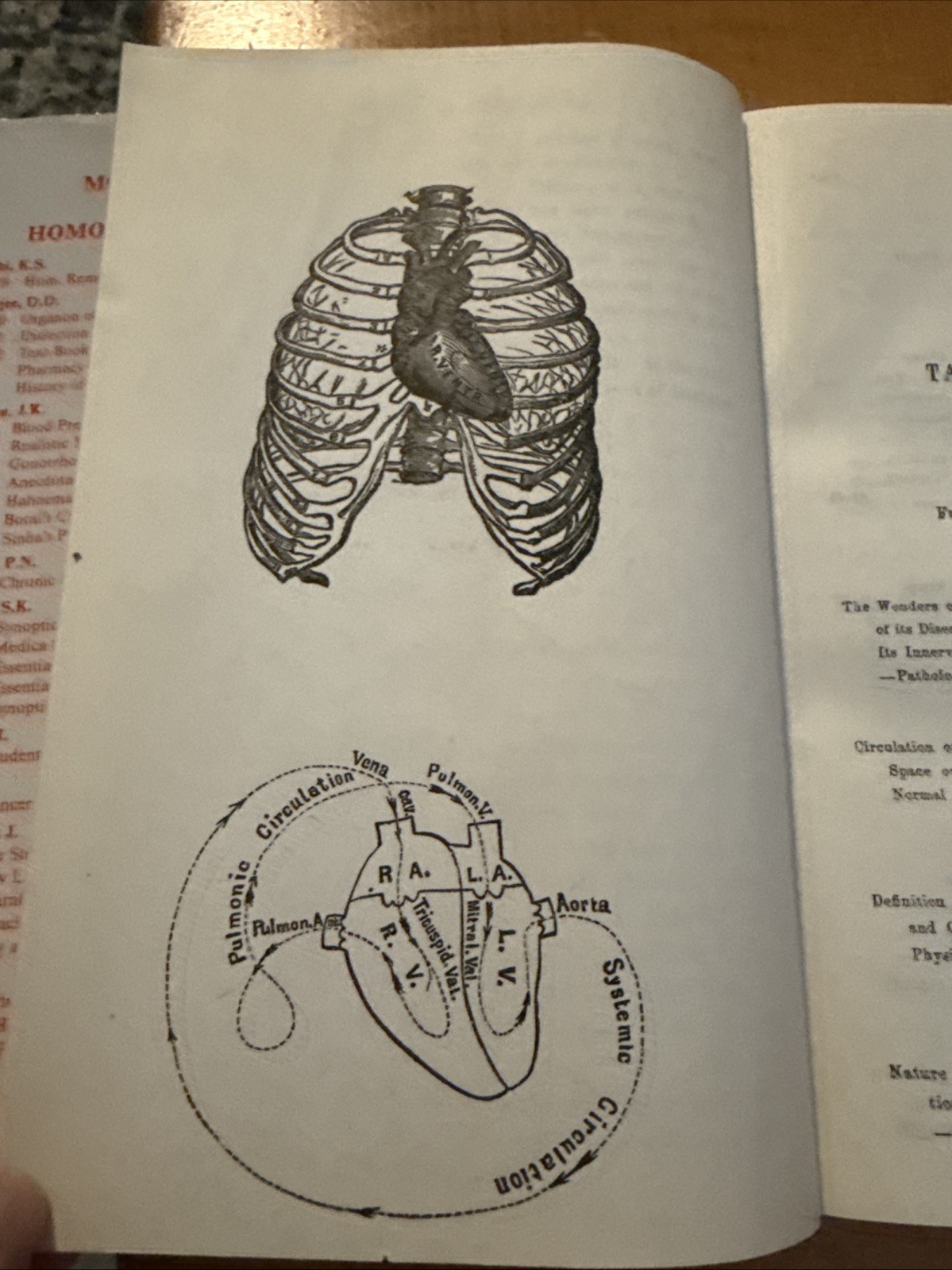 Lectures on Diseases of the Heart by Edwin M Hale MD B Jain HBDJ 1995 Homeopathy