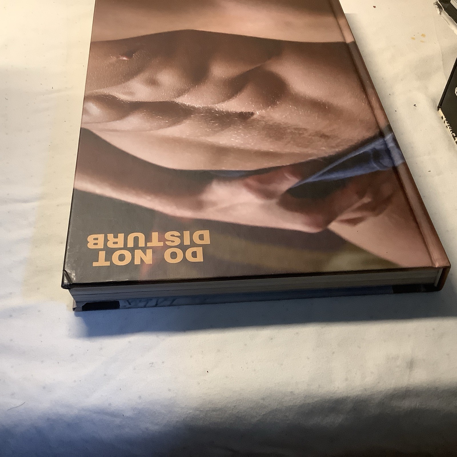 Do Not Disturb By Adam Raphael Gay Interest Erotic Book