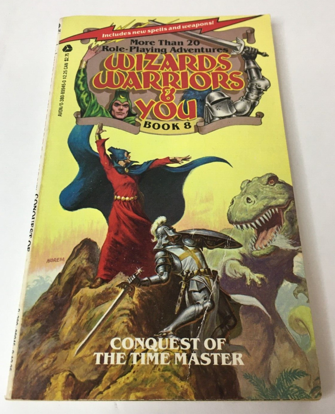 Conquest of the Time Master Lynn Beach Wizards, Warriors, and You #8 1985 1st Ed