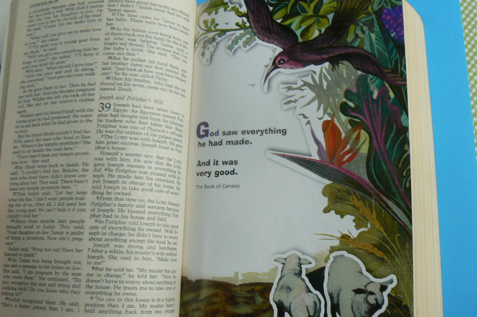 HOLY BIBLE New International Reader’s Version, NIrV Children’s Bible, All Clean!