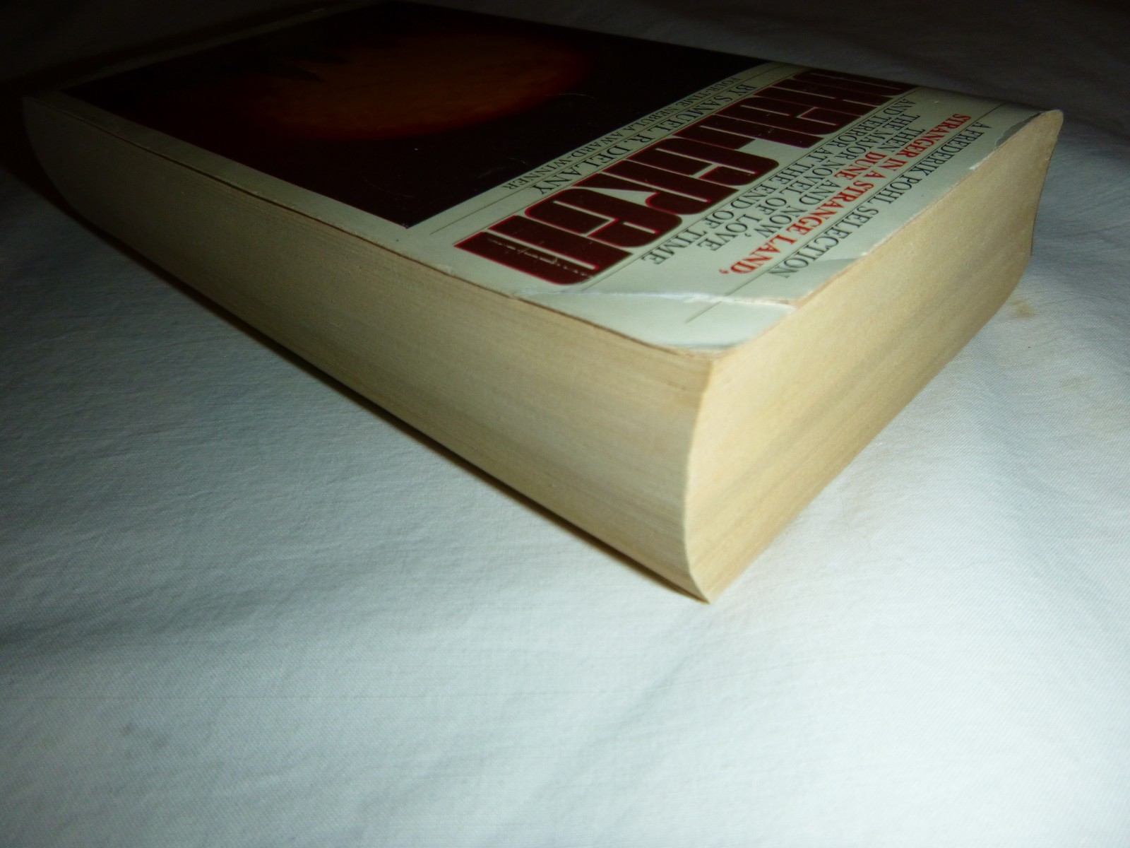 Dhalgren by Samuel R. Delany 1975 10th Printing Bantam Vintage Paperback