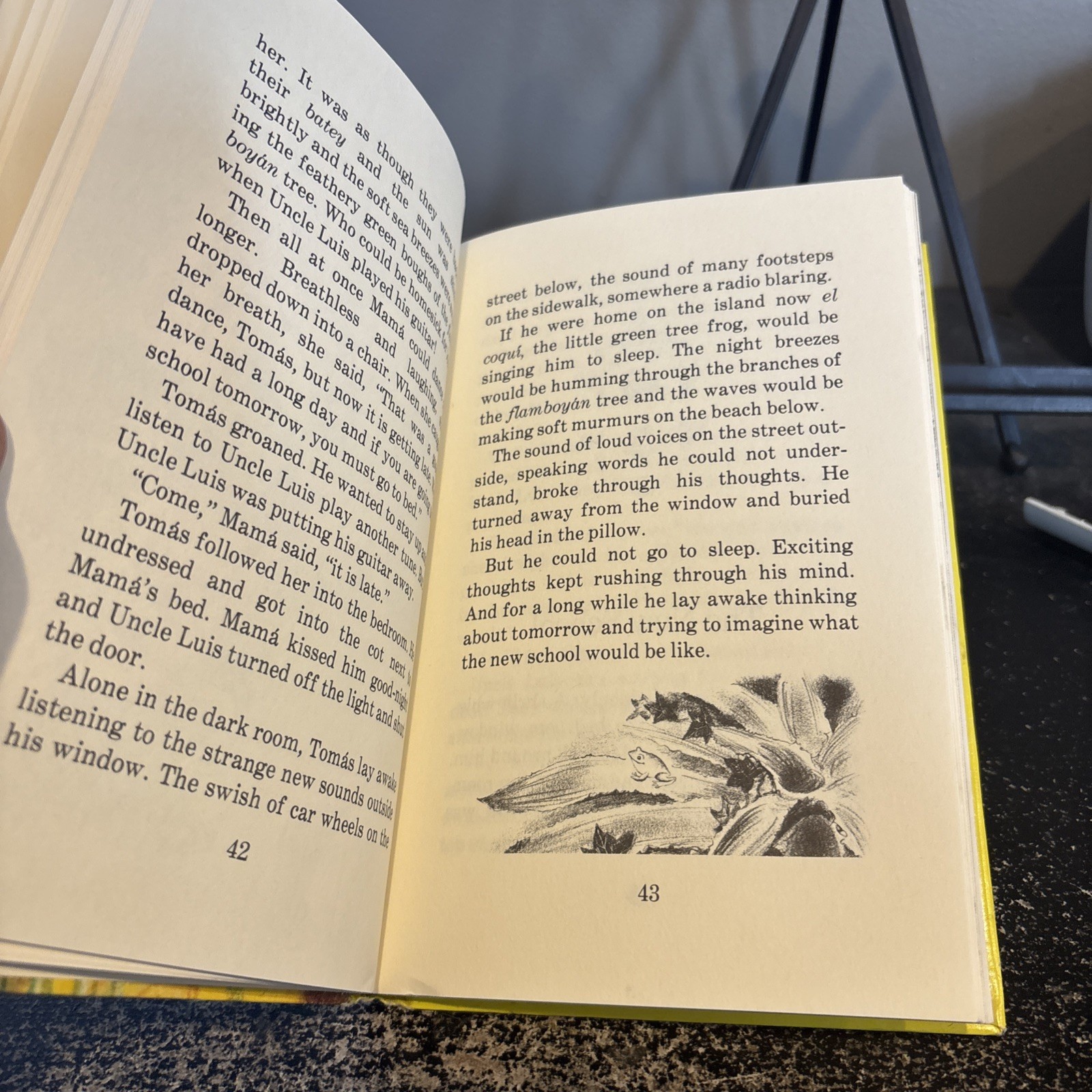 Tomas and the talking birds by Ruth Nulton Moore, 1979, Herald Press Puerto Rico