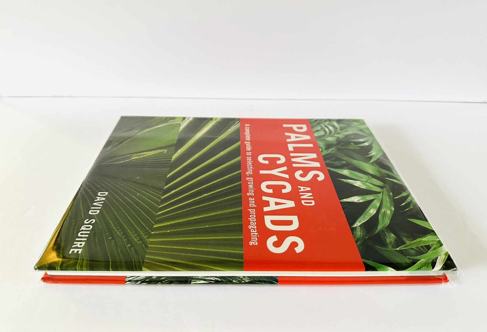 Palms And Cycads: A Guide To Selecting, Growing & Propagating David Squire New
