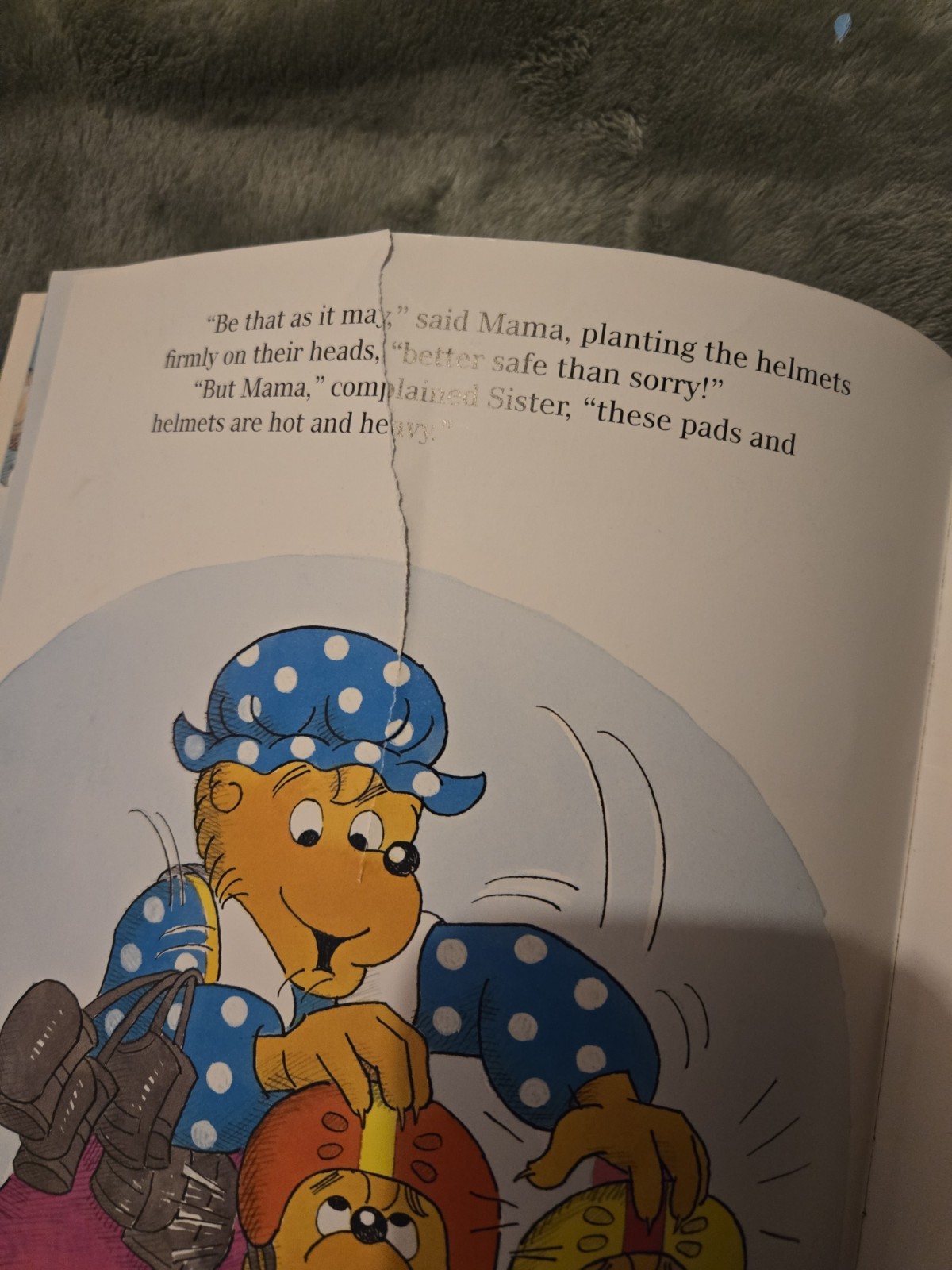The Berenstain Bears 17 Book Lot Total Huge Lot Bundle
