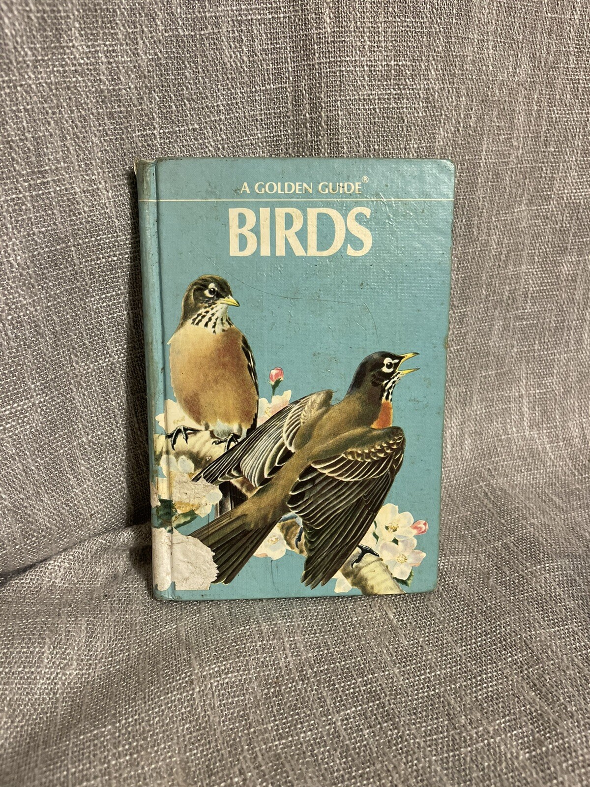 A Golden Press Guide Birds Zim Gabrielson Hardcover 1956 Lake Butler Middle Book
