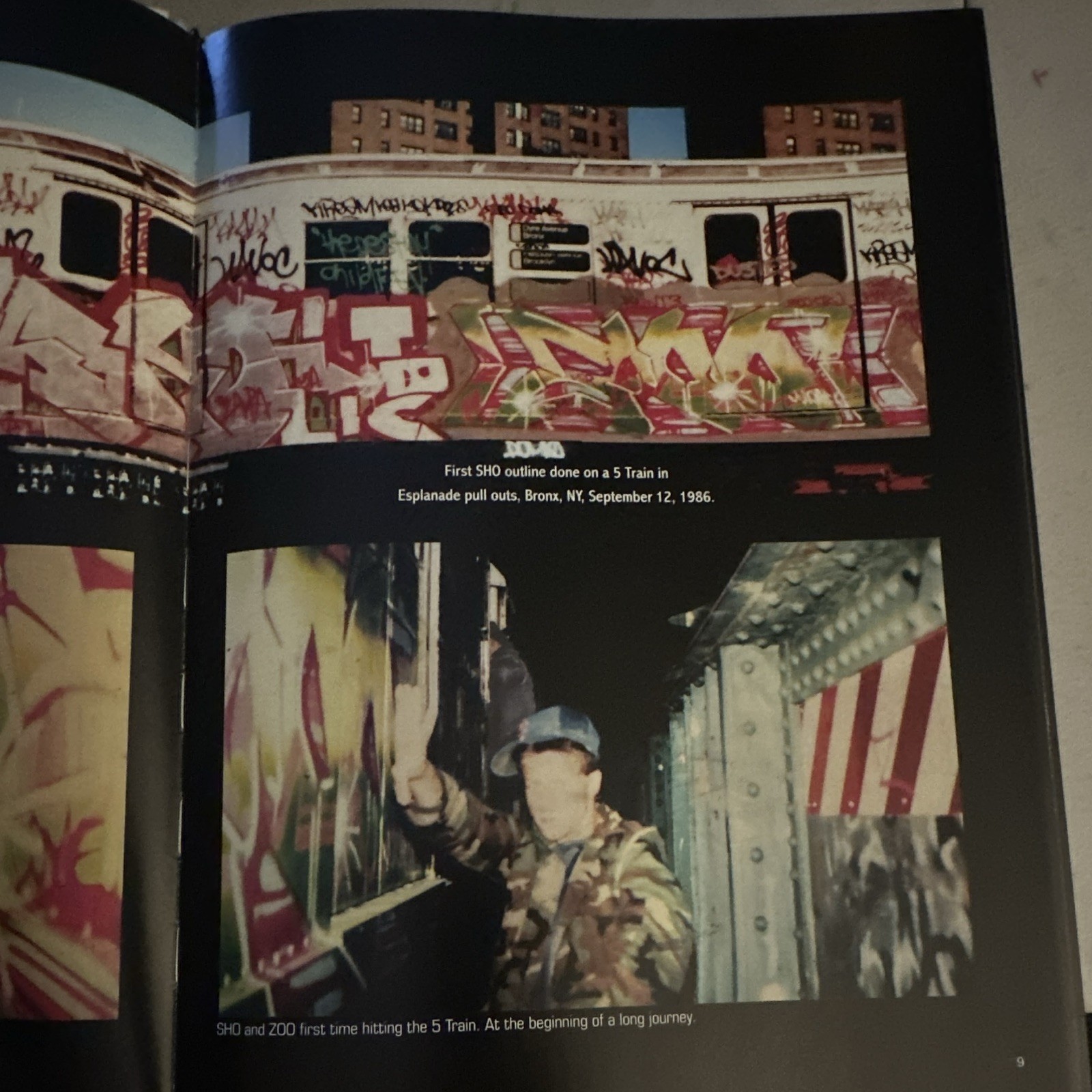 New York City Graffiti: The Destiny Children Softcover George McAvoy 2011