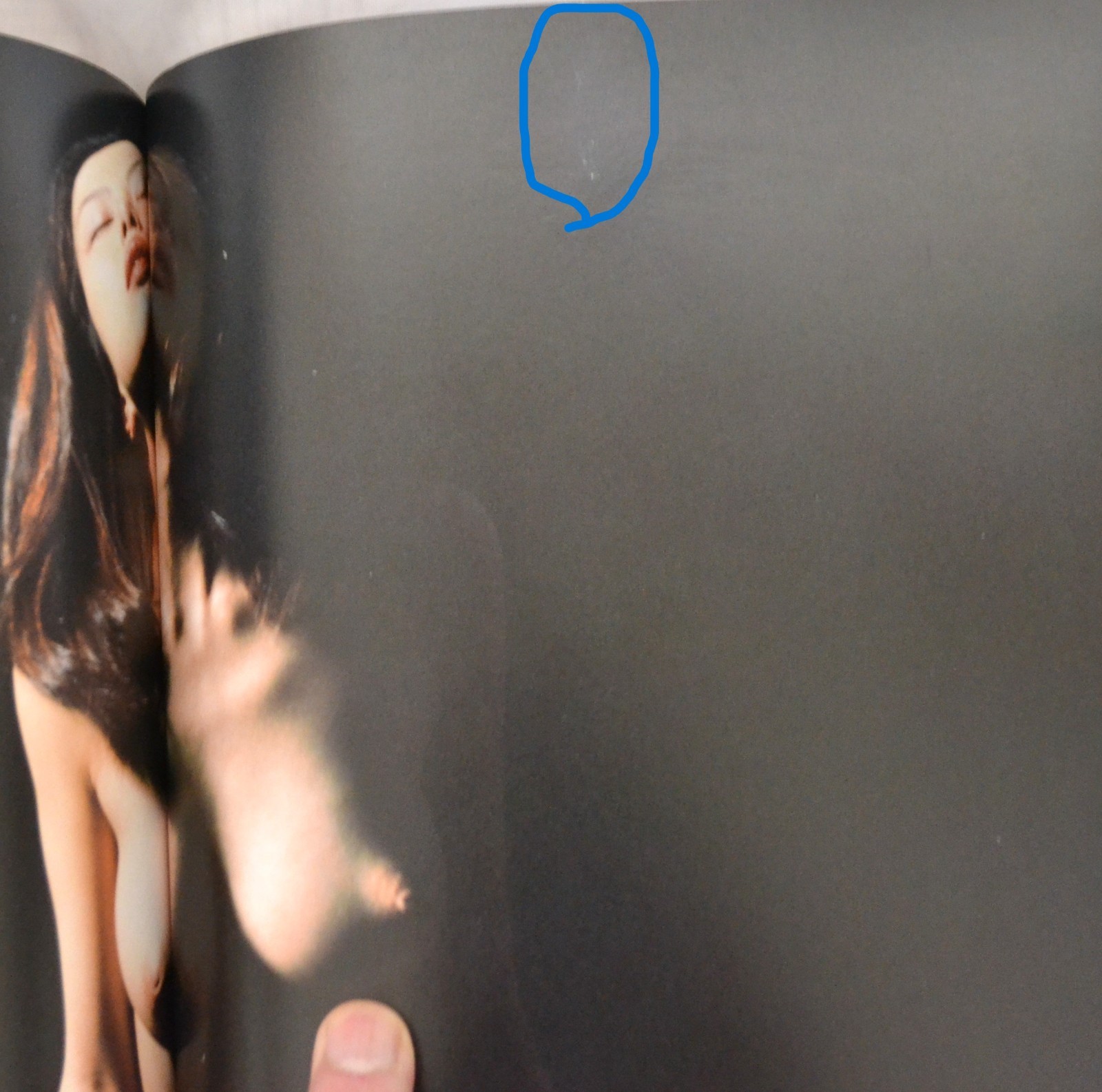 Nobuyoshi Araki Photo Book Novel-themed photos large book 29 x 21 cm 135P Rare