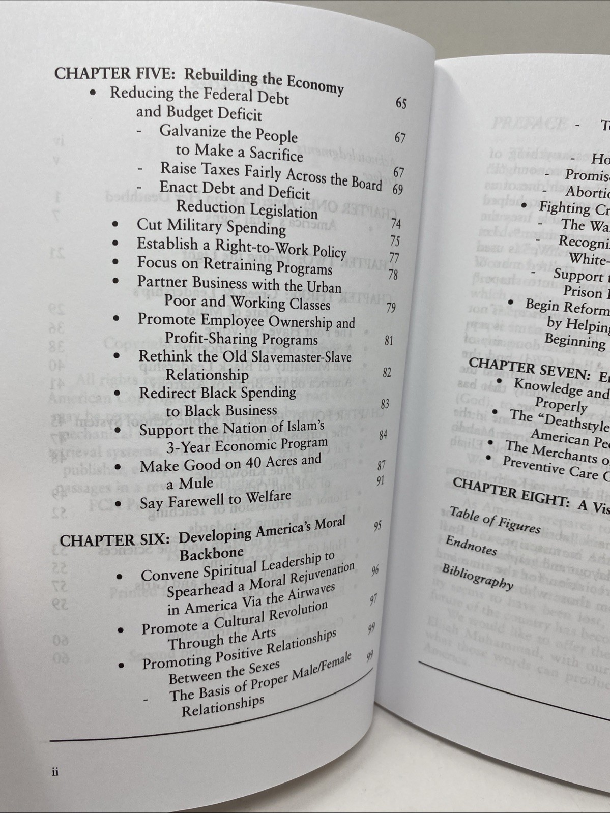 Torchlight for America Louis Farrakhan Paperback Clean Pages Name Inside Covers