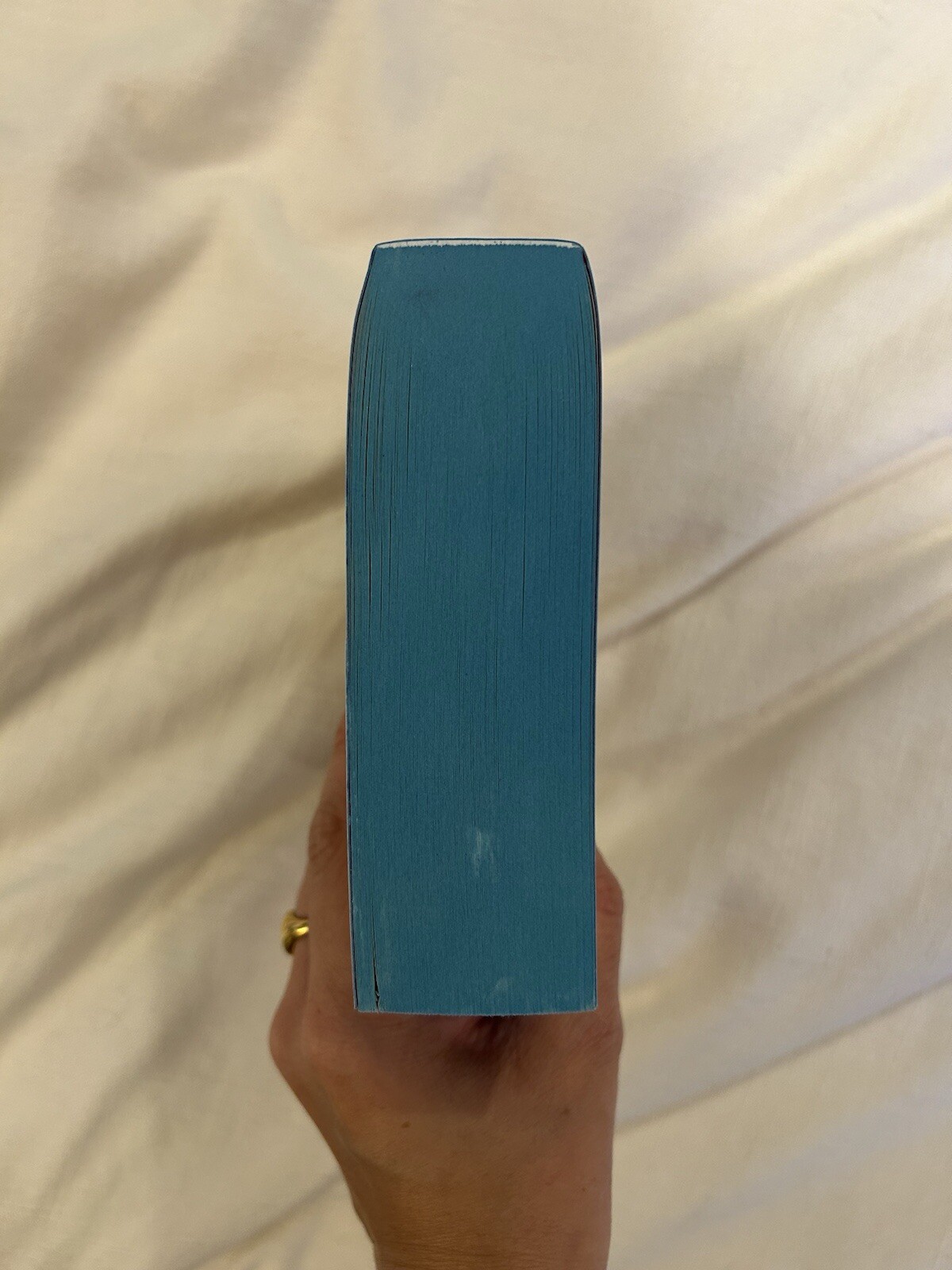 Waterstones Firekeeper’s Daughter And Free ARC Fairyloot Owlcrate Litjoy Book