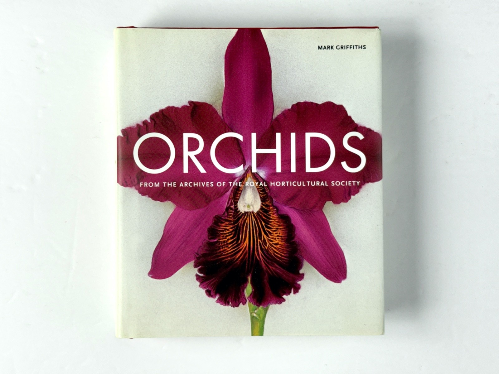 Lot of 3 Orchid Books Mark Griffiths (2005 HC) + Orquideas +Albert Hollingsworth