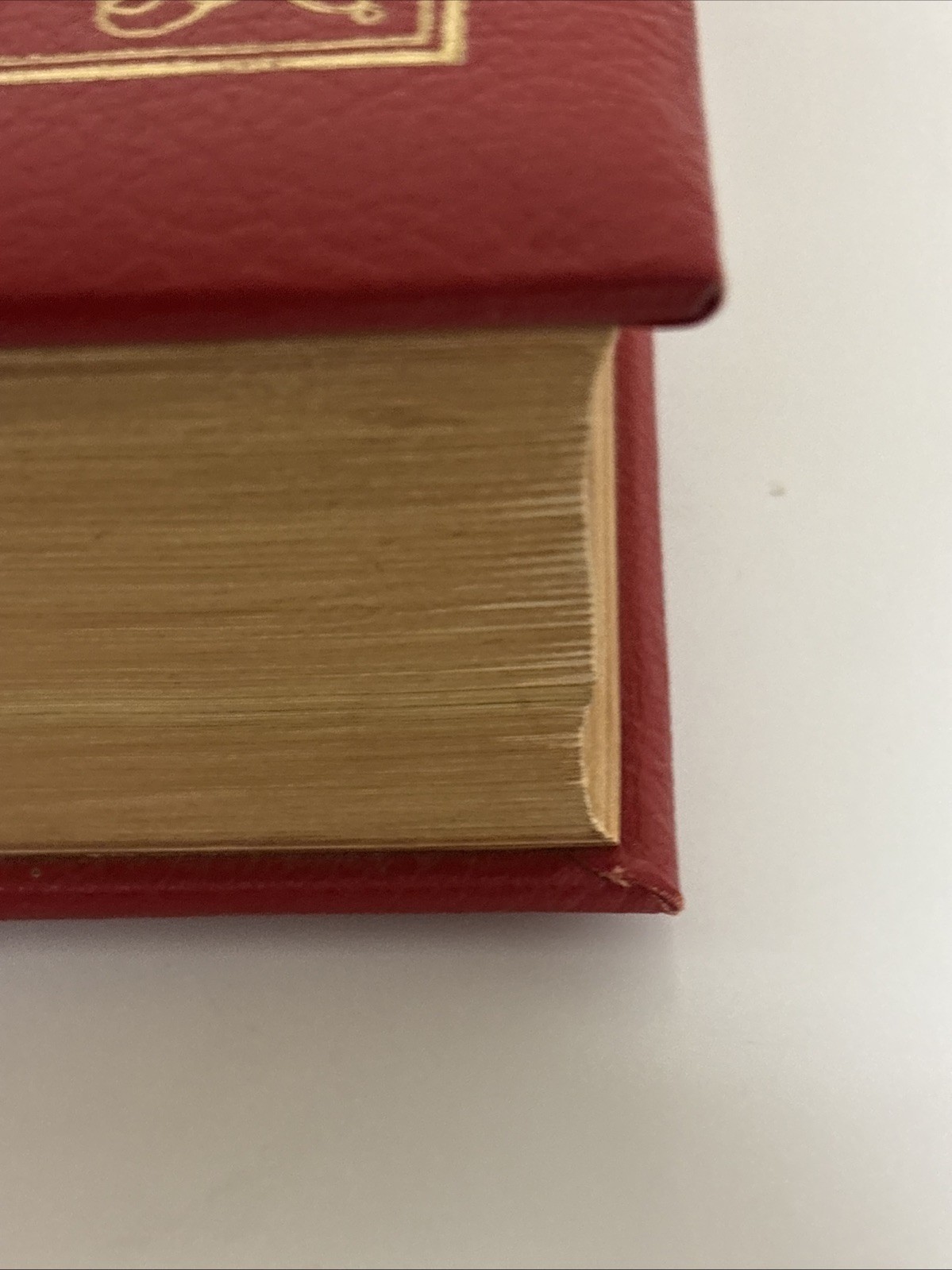 Holy Bible NAB Red. The New American Bible. Catholic Press World