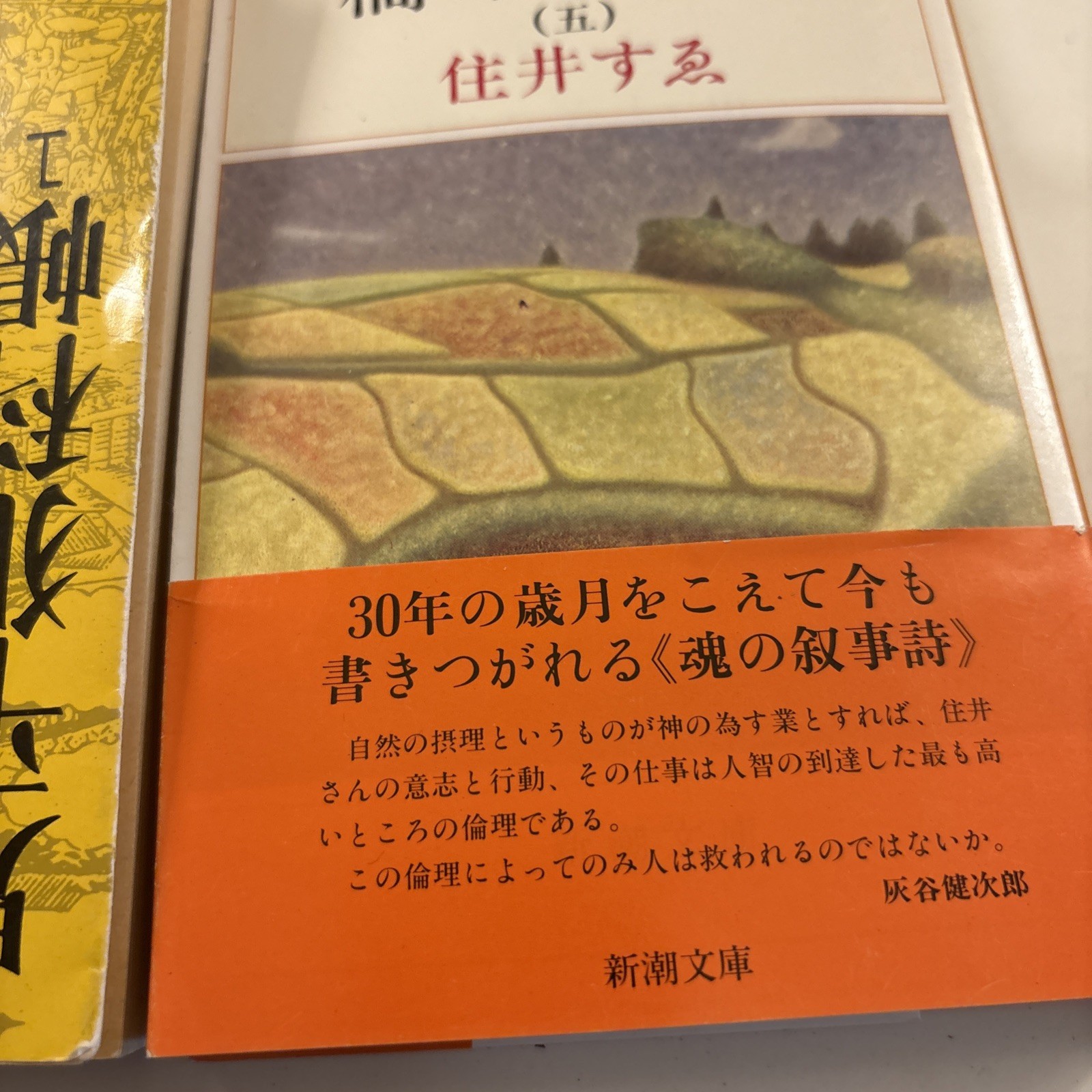 Lot of 8 Japanese Paperback Novels Books Novels Variety Of Authors (bk3