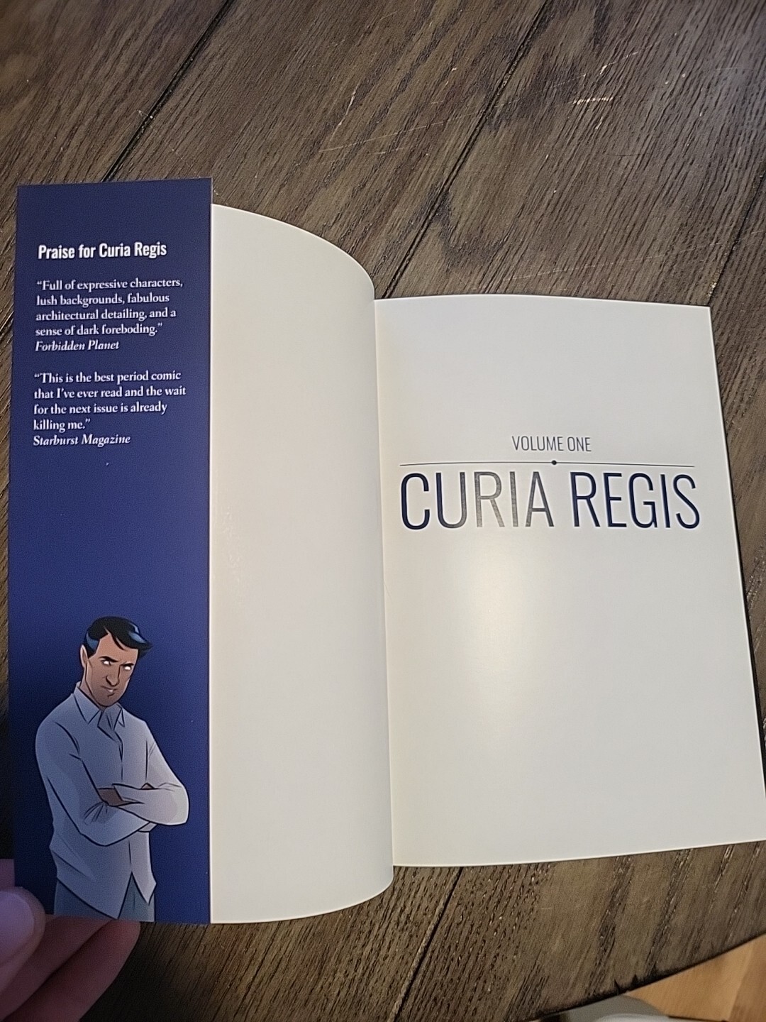 Curia Regis – Volume I., L. Robin Hoelzemann, Privately Published