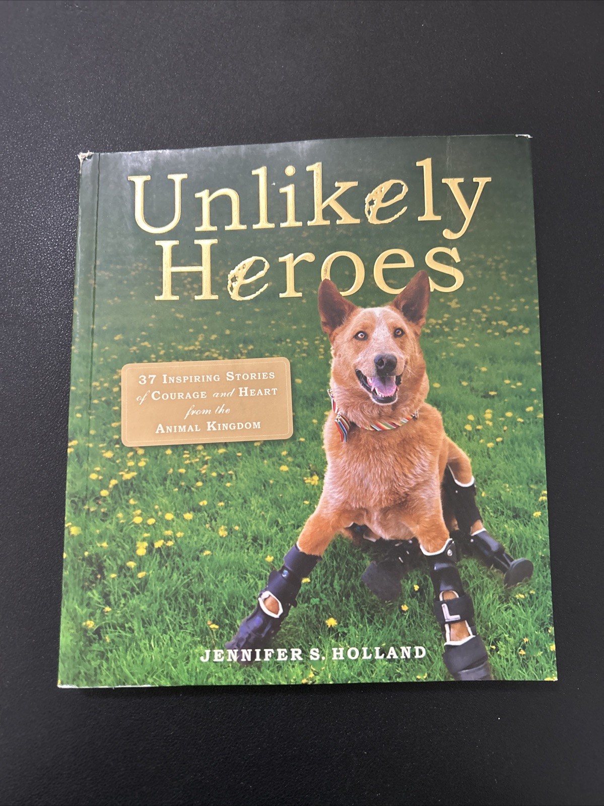 Unlikely Heroes By Jennifer S Holland Biographical/True Story Paperback In Aust