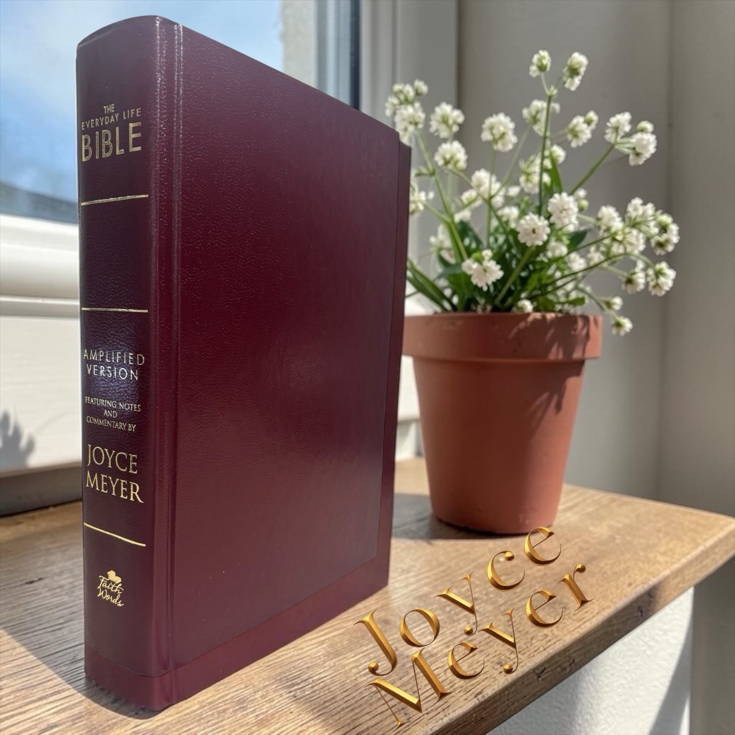 Joyce Meyer Everyday Life Bible Amplified Version FaithWords Burgundy / New L👀K