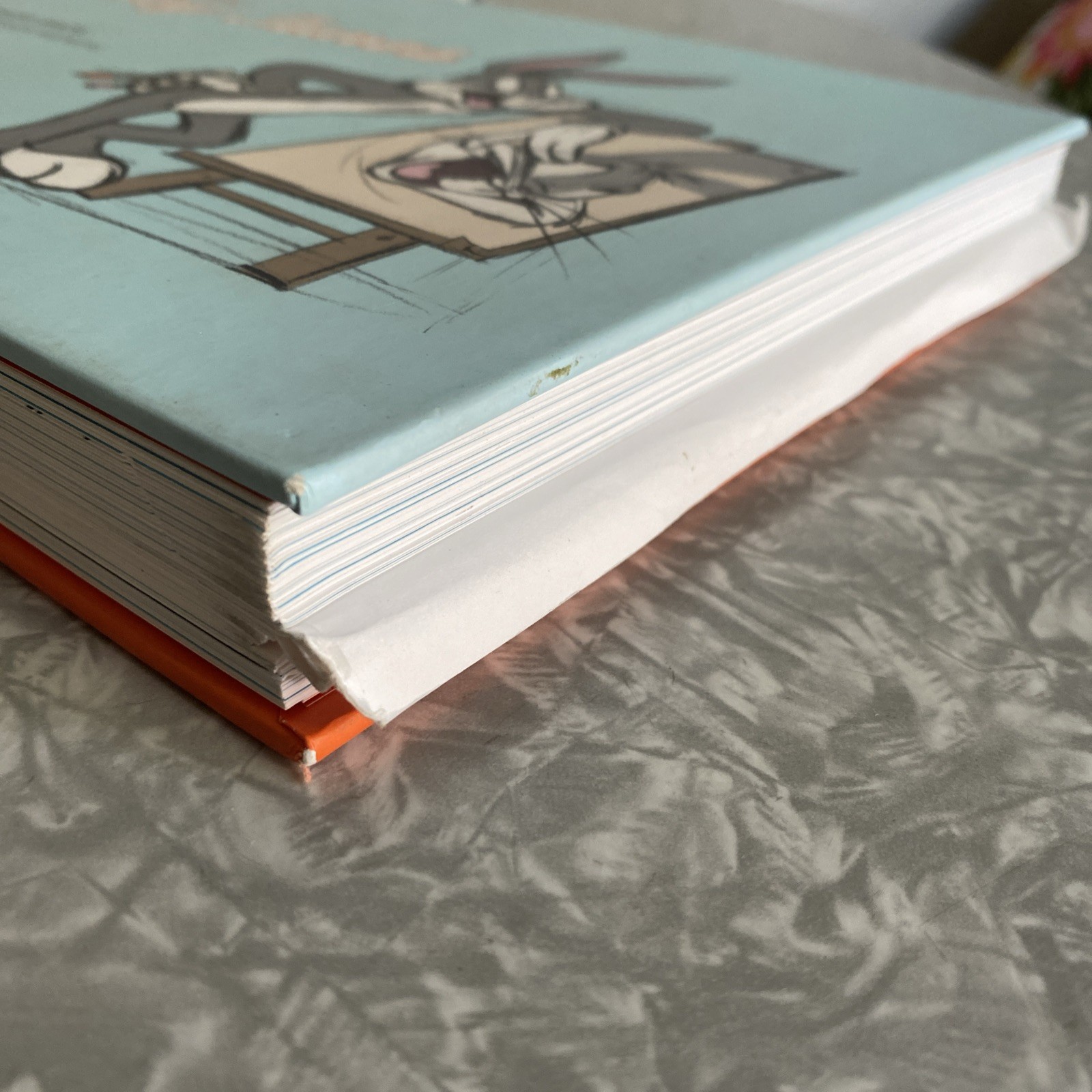 Draw the Looney Tunes: Warner Brothers Character Design Manual First edition