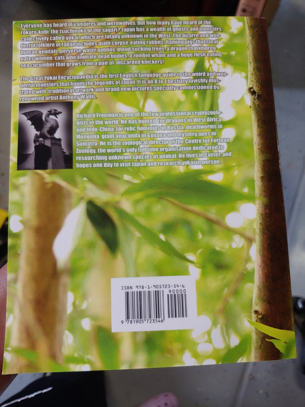 Great Yokai Encyclopaedi by Richard Freeman (2010, Trade Paperback)