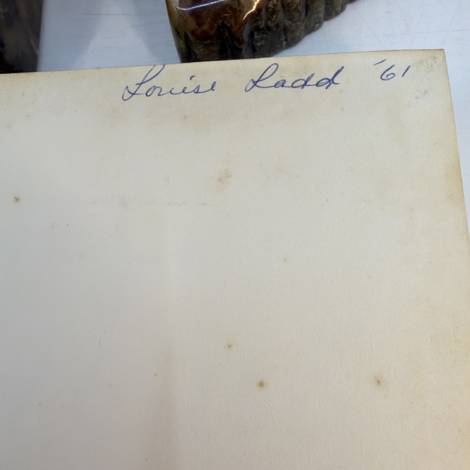 1961 AMICUS Wesley College Yearbook Author Louise Lad Copy (AI142)