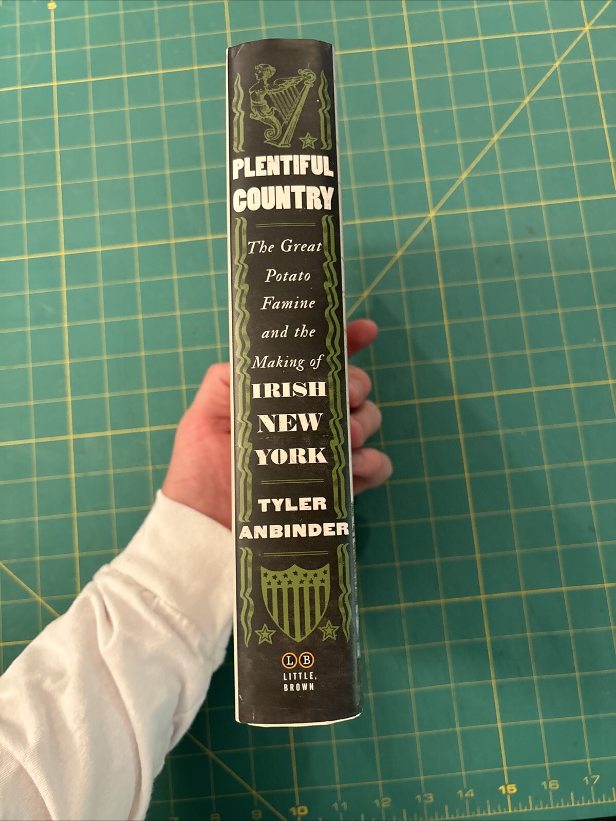 Plentiful Country : The Great Potato Famine and the Making of Irish New York HC