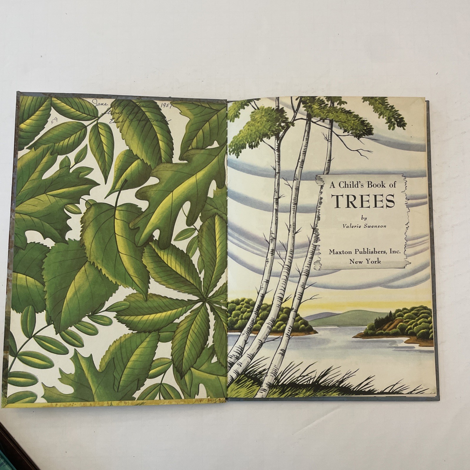 * Vintage Lot 6 A Child’s Book Of Stones Stars Animals Rovers Trees Sea Shells