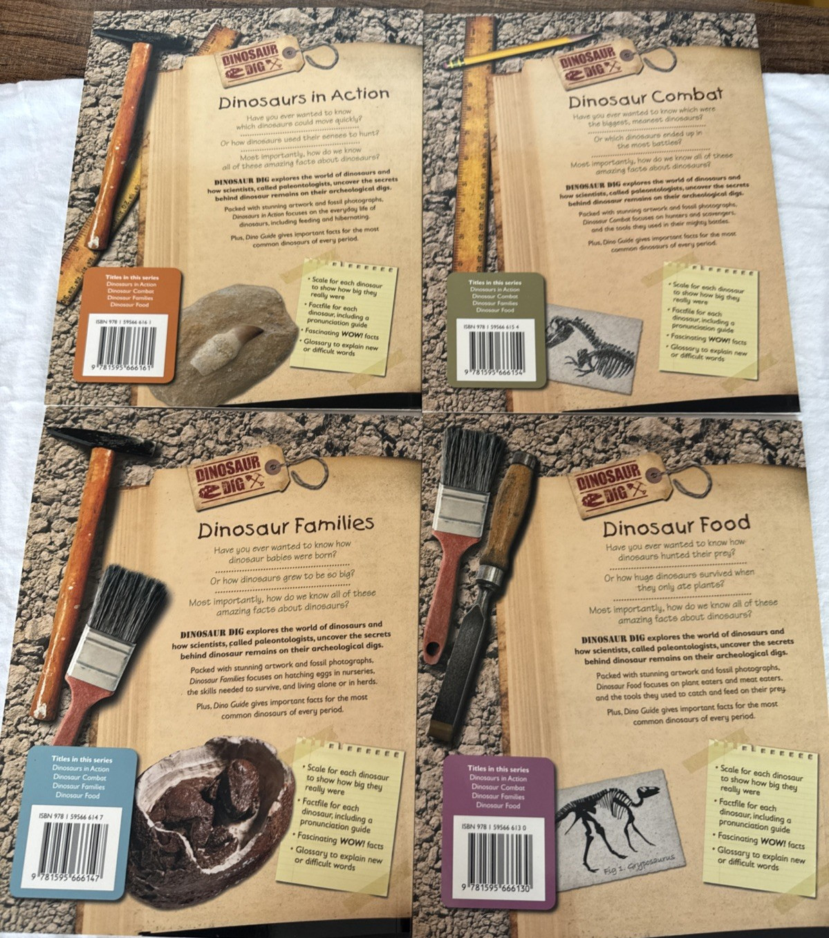 Lot Of 4 Dinosaur Dig Books Educational Kids Books Dinosaurs Family Action
