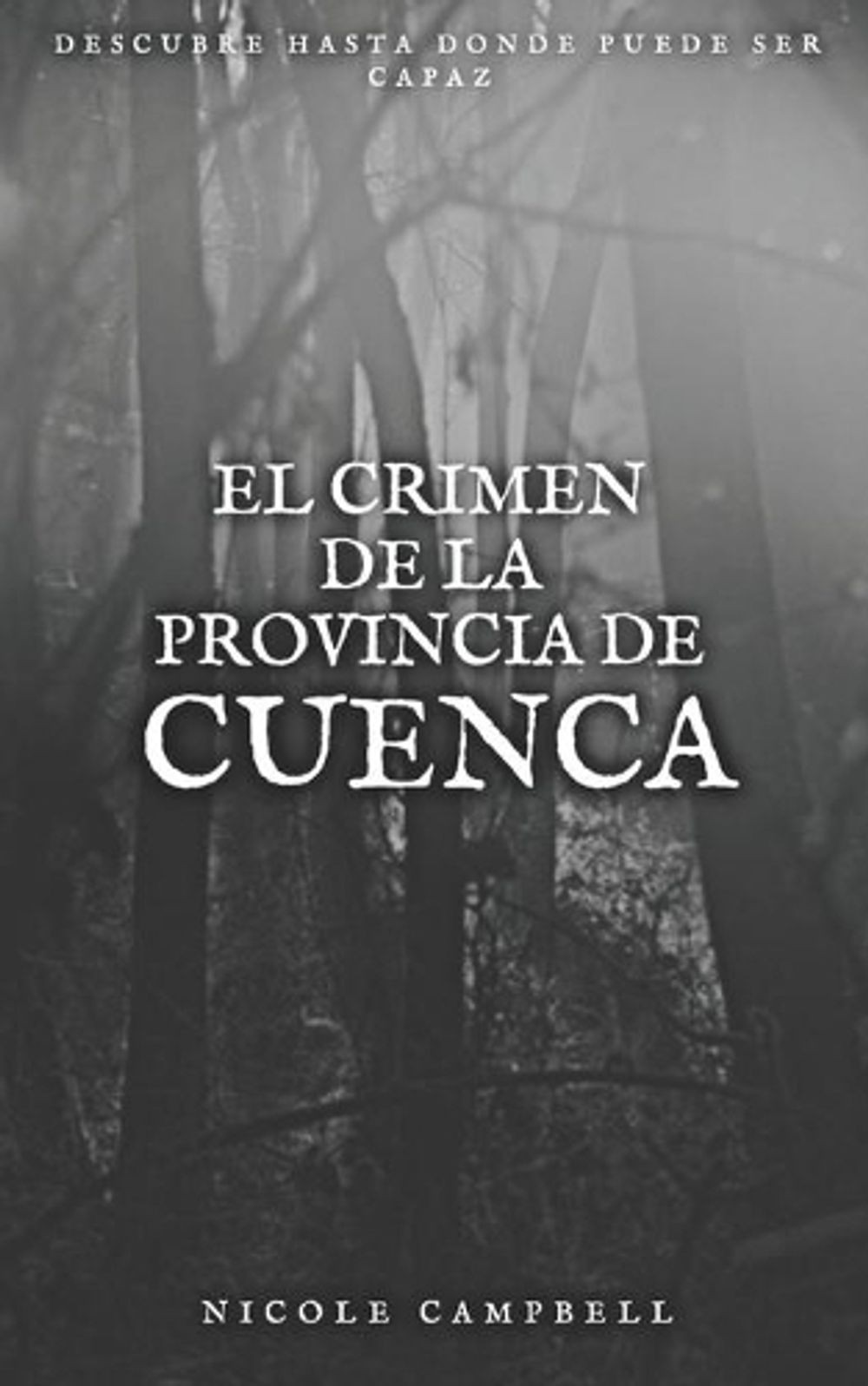 El crimen de la provincia de Cuenca by Nicole Campbell (Spanish) Paperback Book