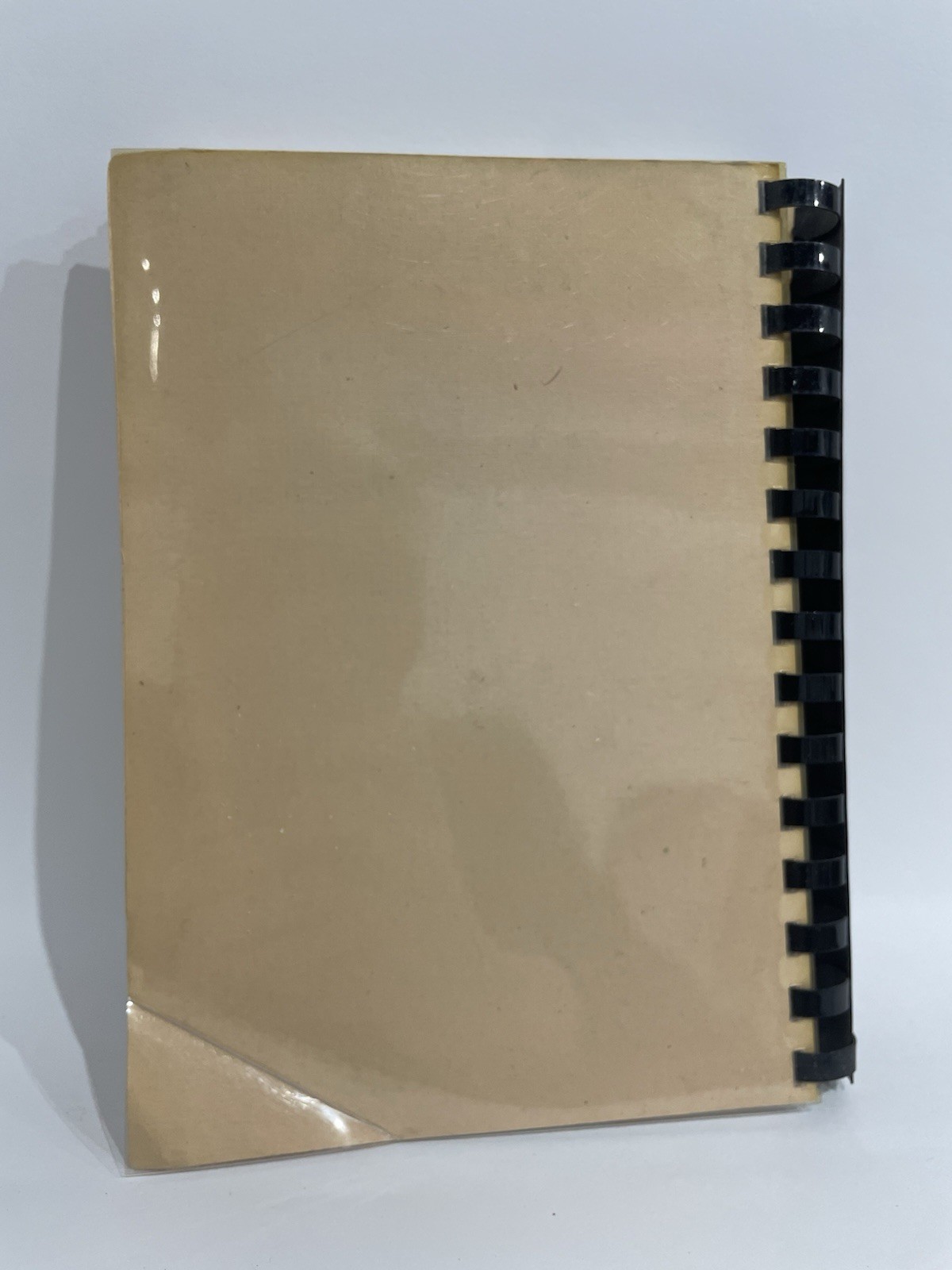(Signed/Inscribed) Small Mouse Person In China by Dorothea Smith Coryell