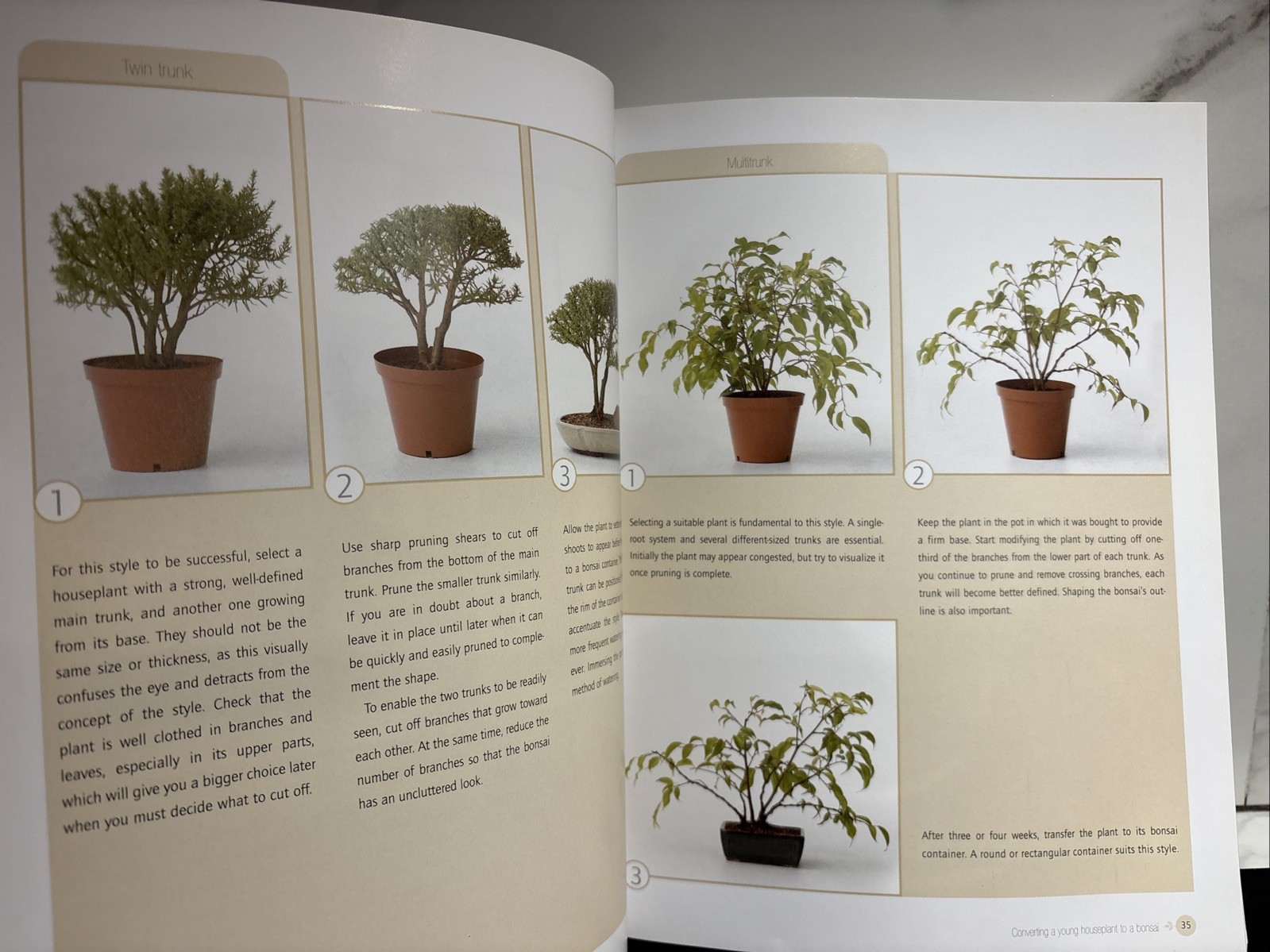 Successful Bonsai, By David Squire
