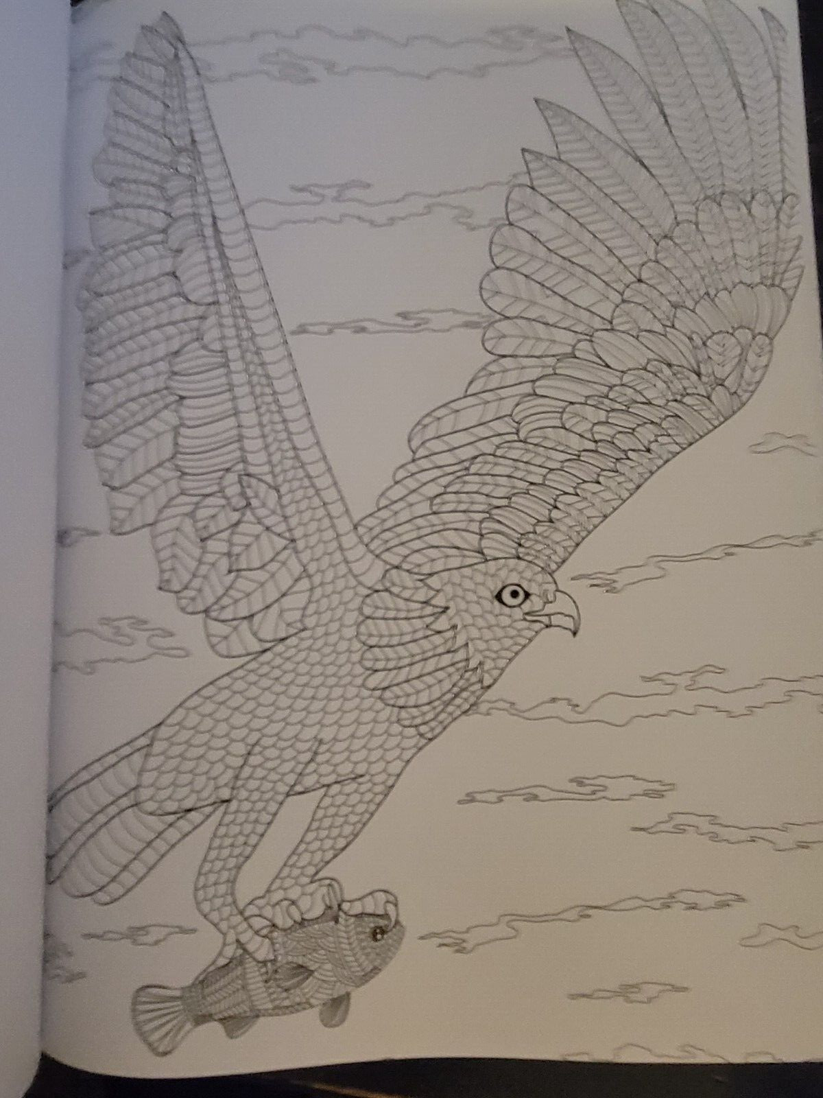 COLORS OF THE WILD Vol. 19 Adult Coloring Book With 47 Prints Ready To Frame!