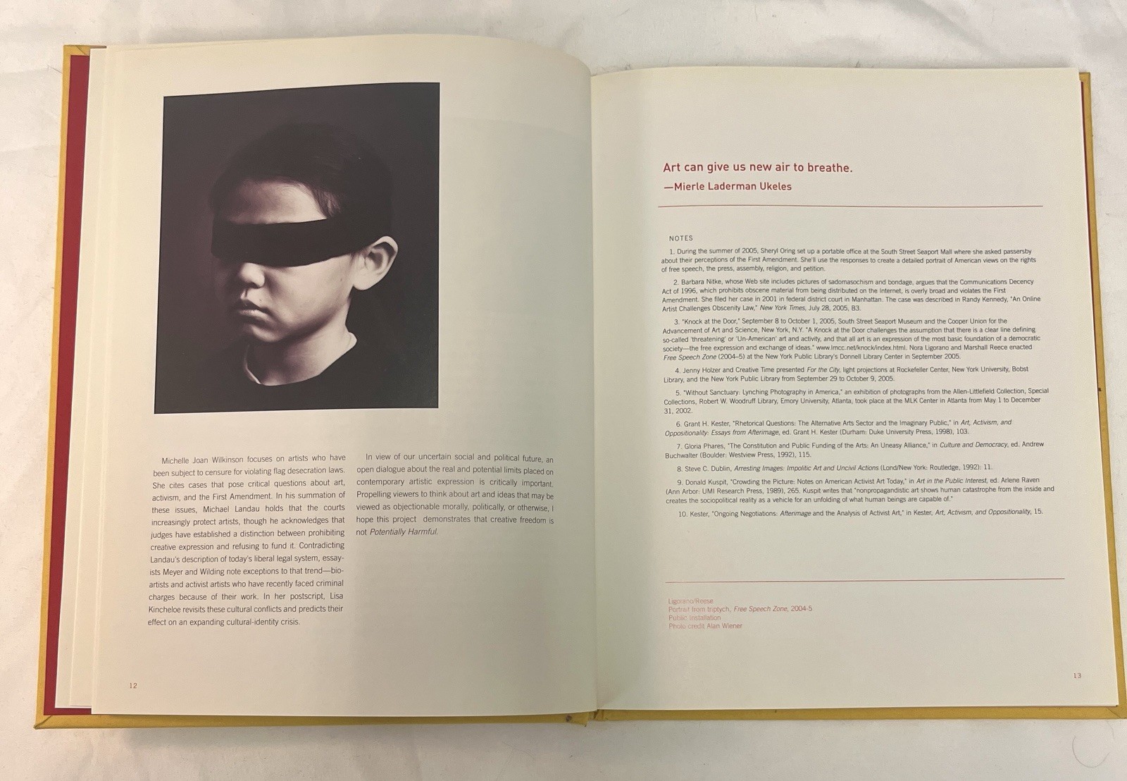 Potentially Harmful: The Art of American Censorship by Cathy Byrd, 2006 HC