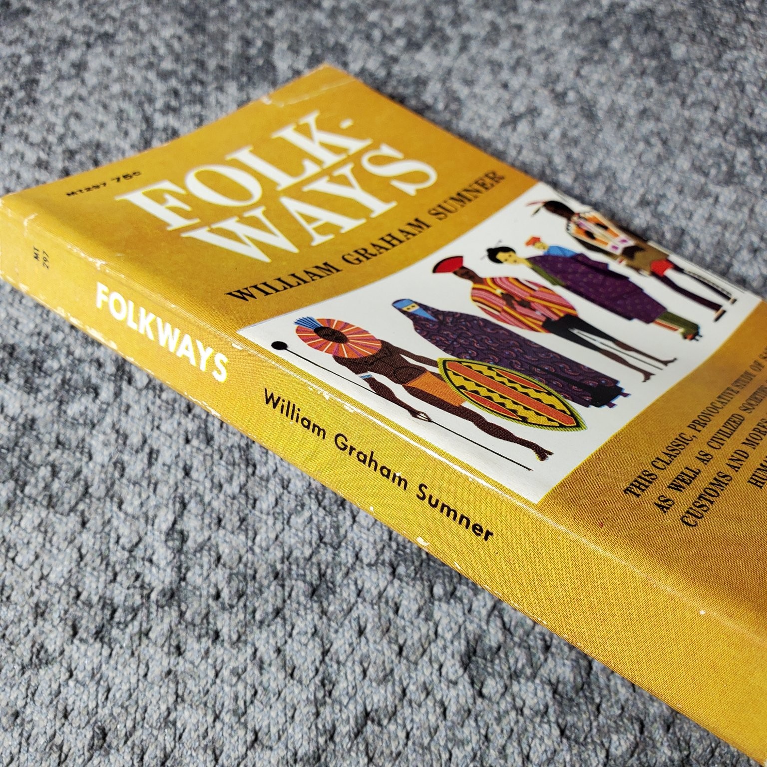 Folkways William Graham Sumner 1960 First Printing Sociology Anthropology Mentor