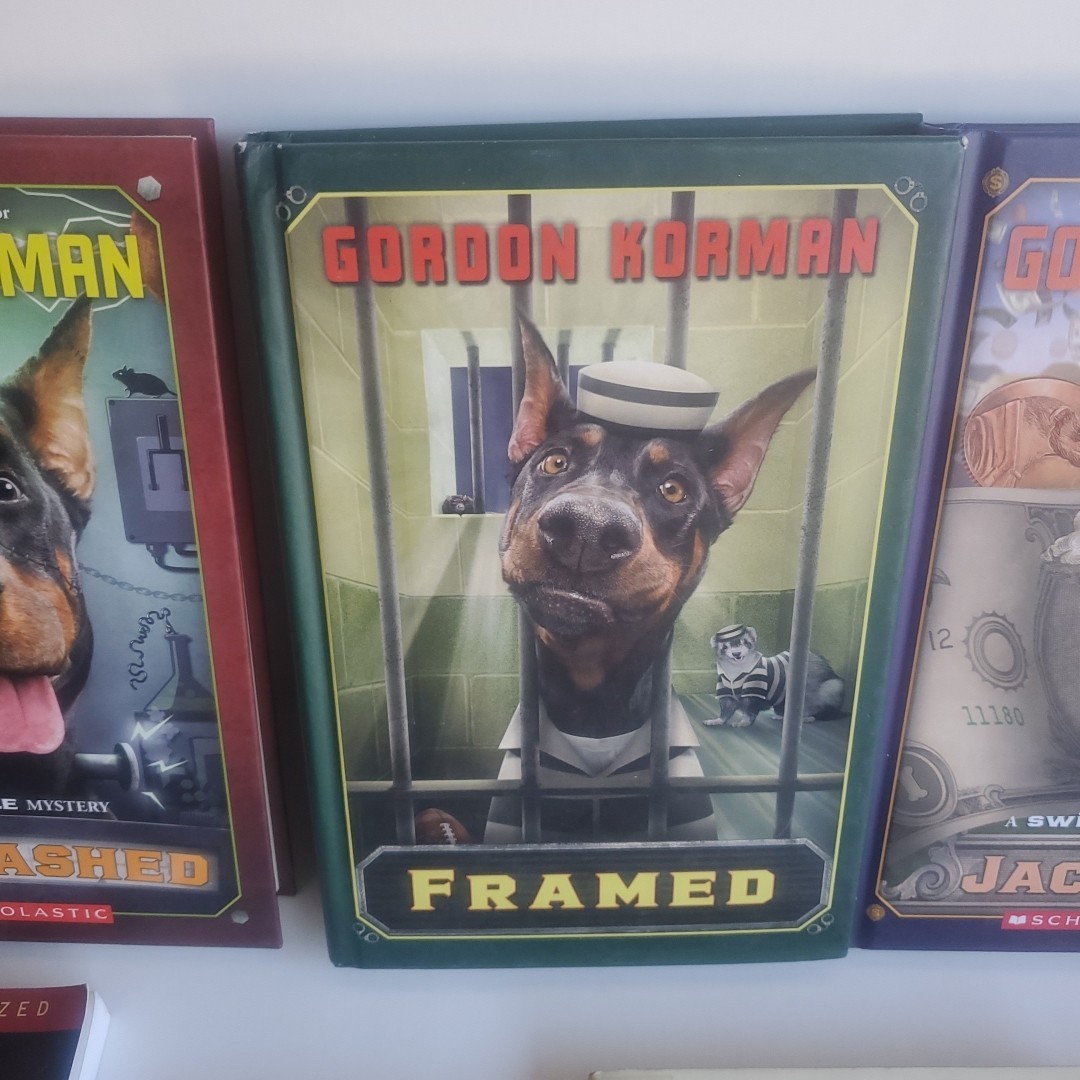 Lot of 14 Books 4 are GORDON KORMAN’s Children Books Series Reading level 6-7