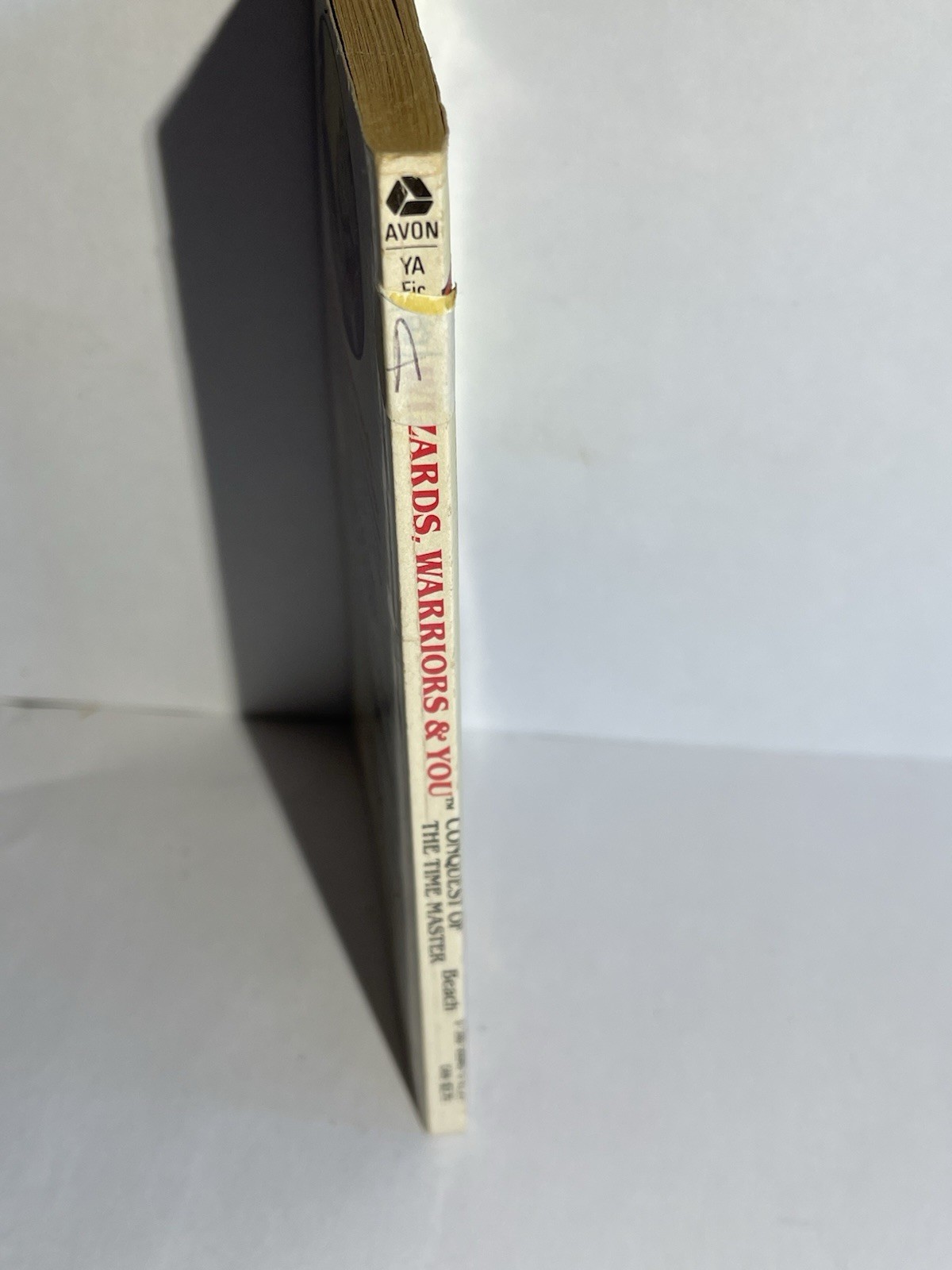 Wizards, Warriors & You 8 Conquest of the Time Master PB 1985 1st Avon Illus YA