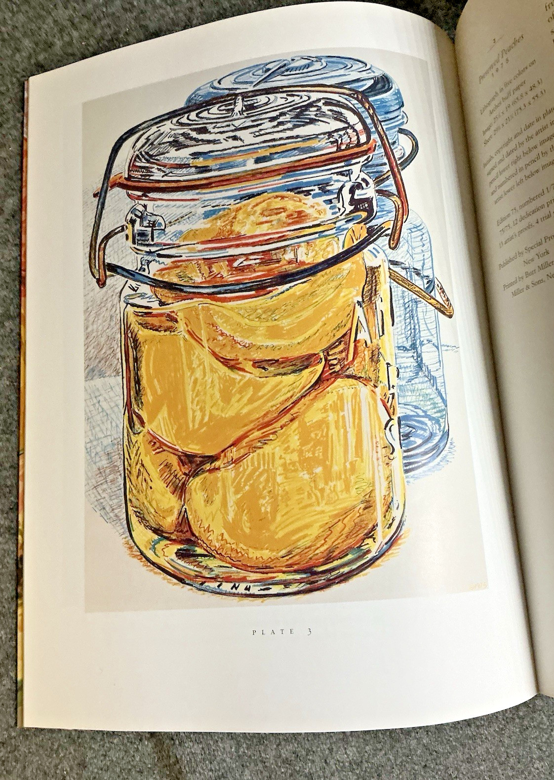 The Prints of Janet Fish. A Catalogue Raisonne (1997)