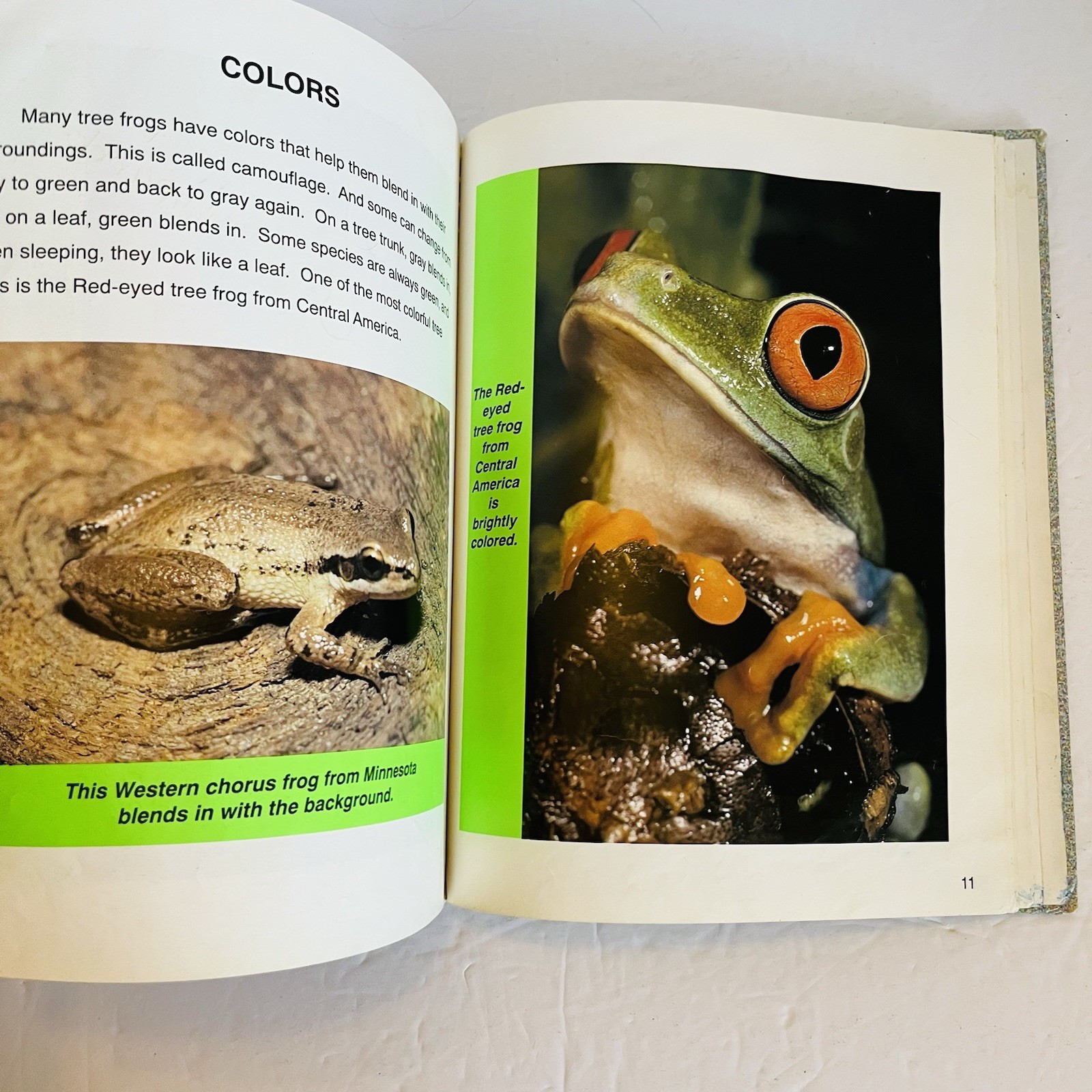 Lot 5 Reptile Amphibian Science Books Snake Turtle STEM Classroom Library