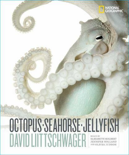 Octopus, Seahorse, Jellyfish by Liittschwager, David