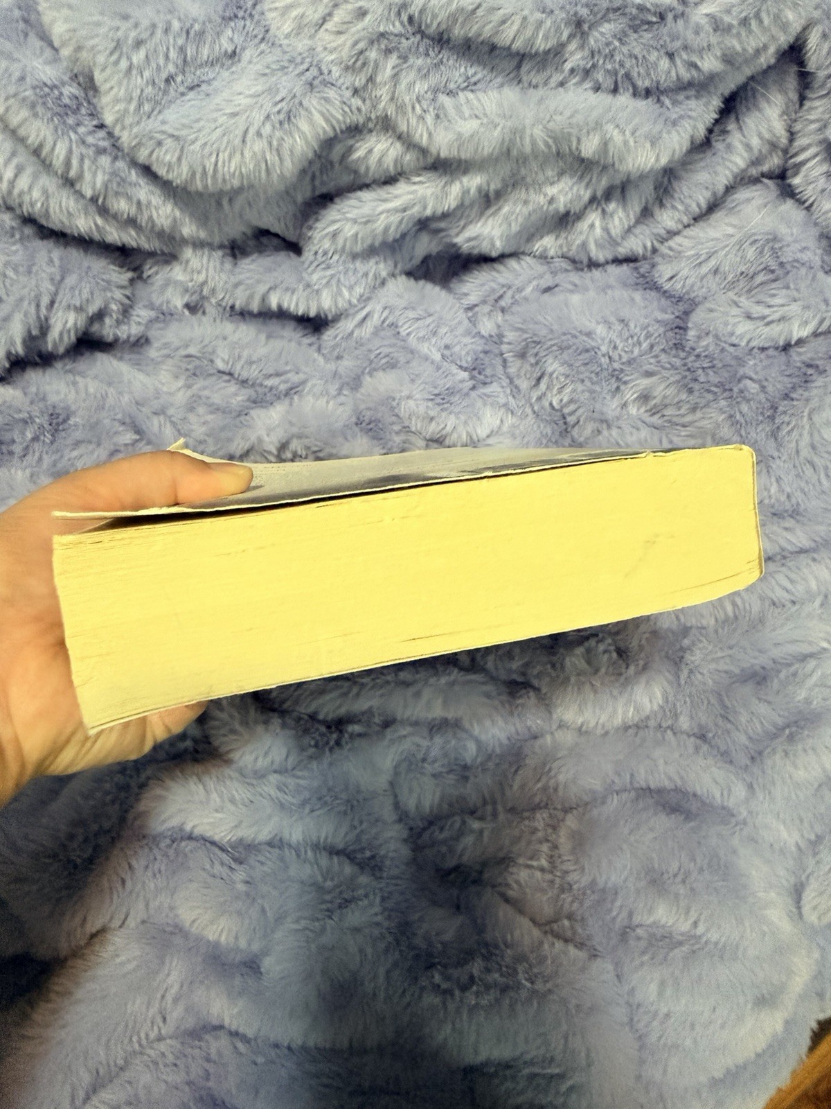 The Runaway Paperback Hollie Overton Fiction