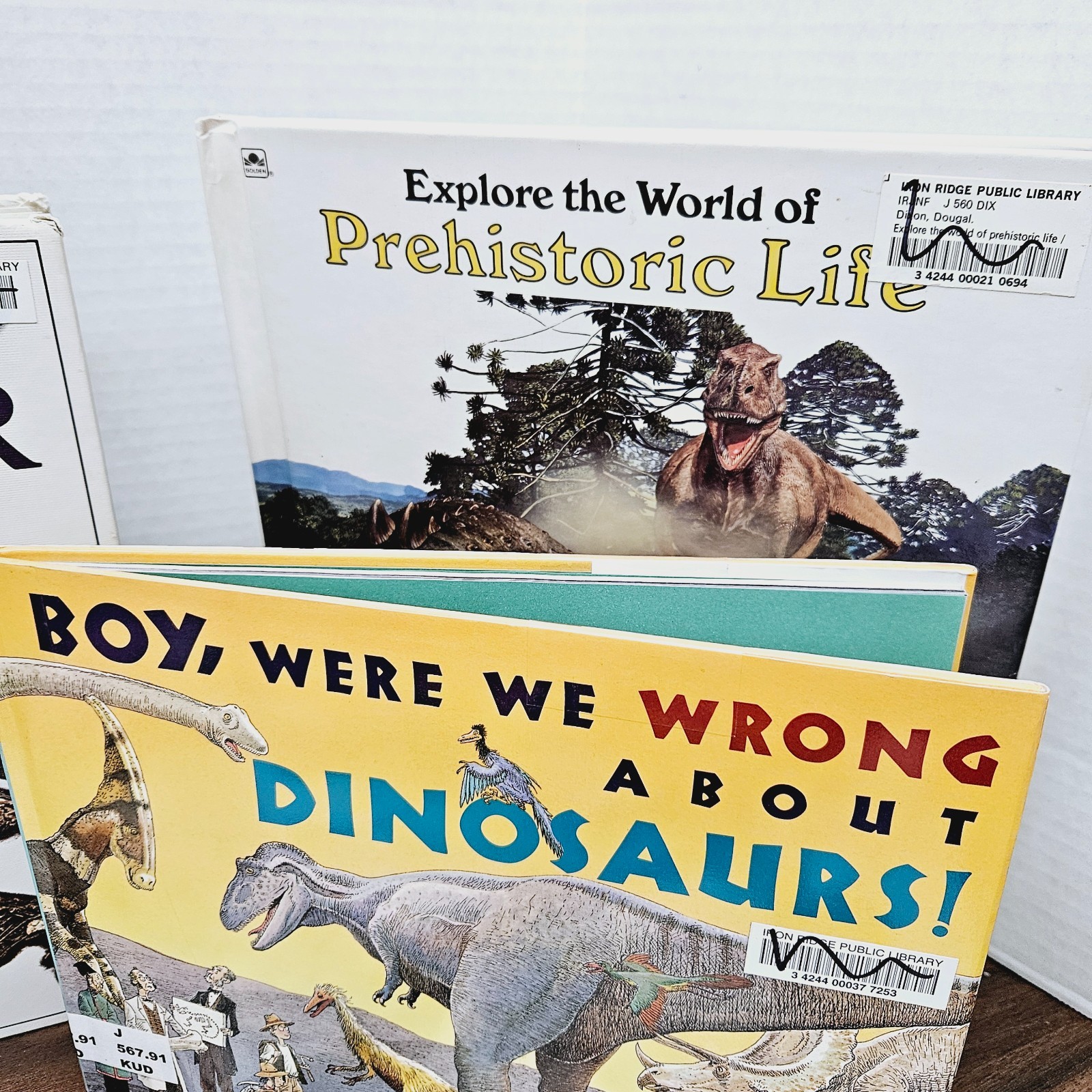 Kids Books About Dinosaurs Lot of 10 Homeschool Classroom Library Eyewitness