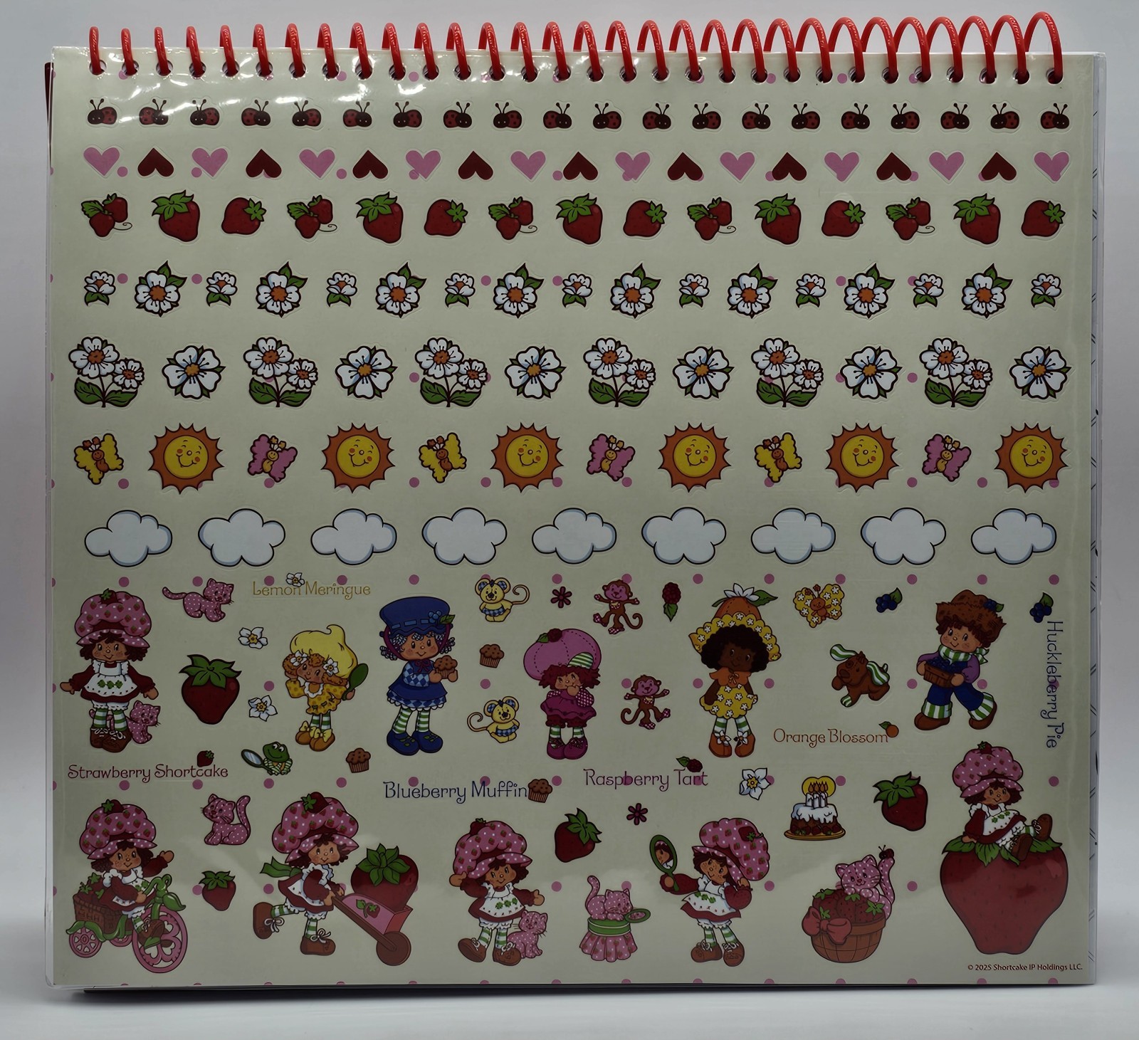 Strawberry Shortcake Sketchbook 20 Pages Over 100 Stickers